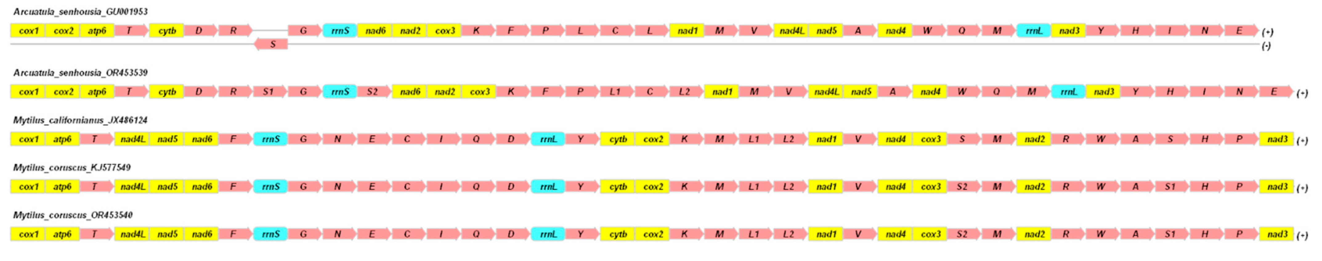 Ijms 25 06902 g001 Ijms 25 06902 g001