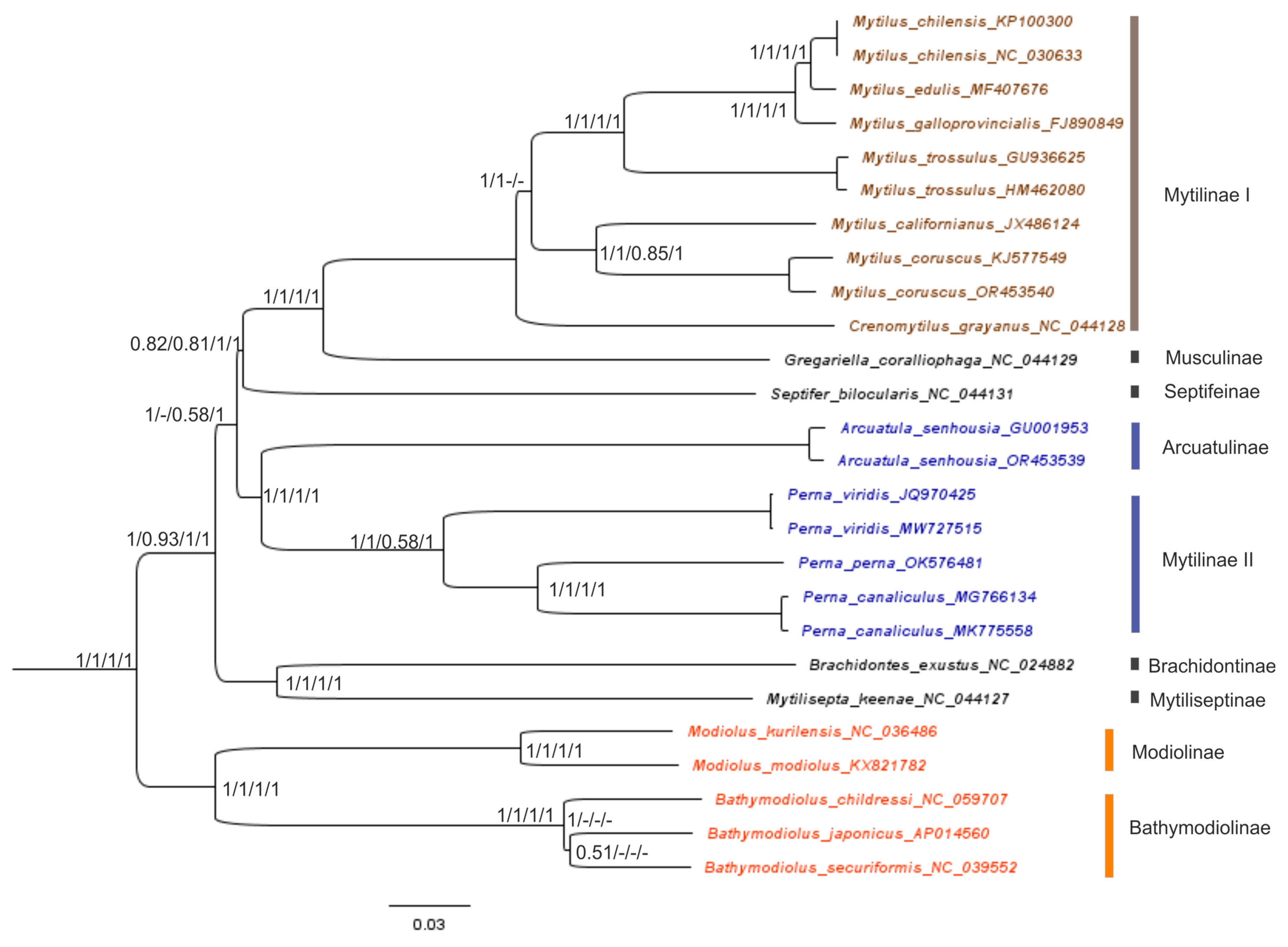 Ijms 25 06902 g004 Ijms 25 06902 g004