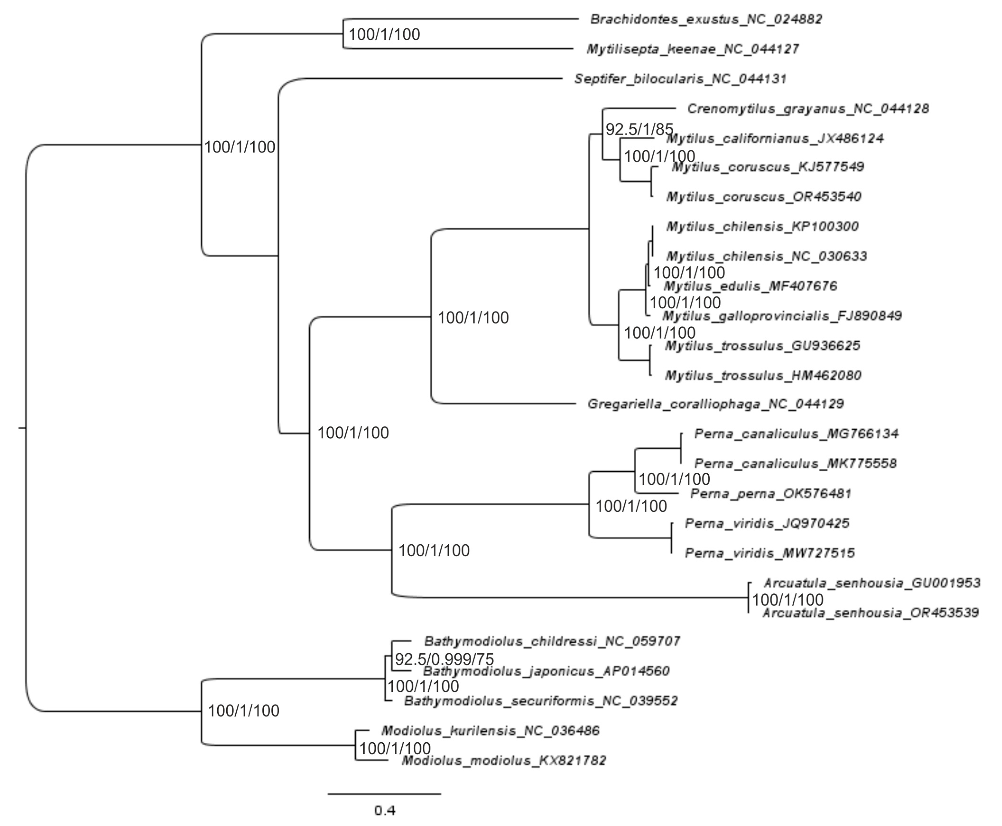 Ijms 25 06902 g005 Ijms 25 06902 g005