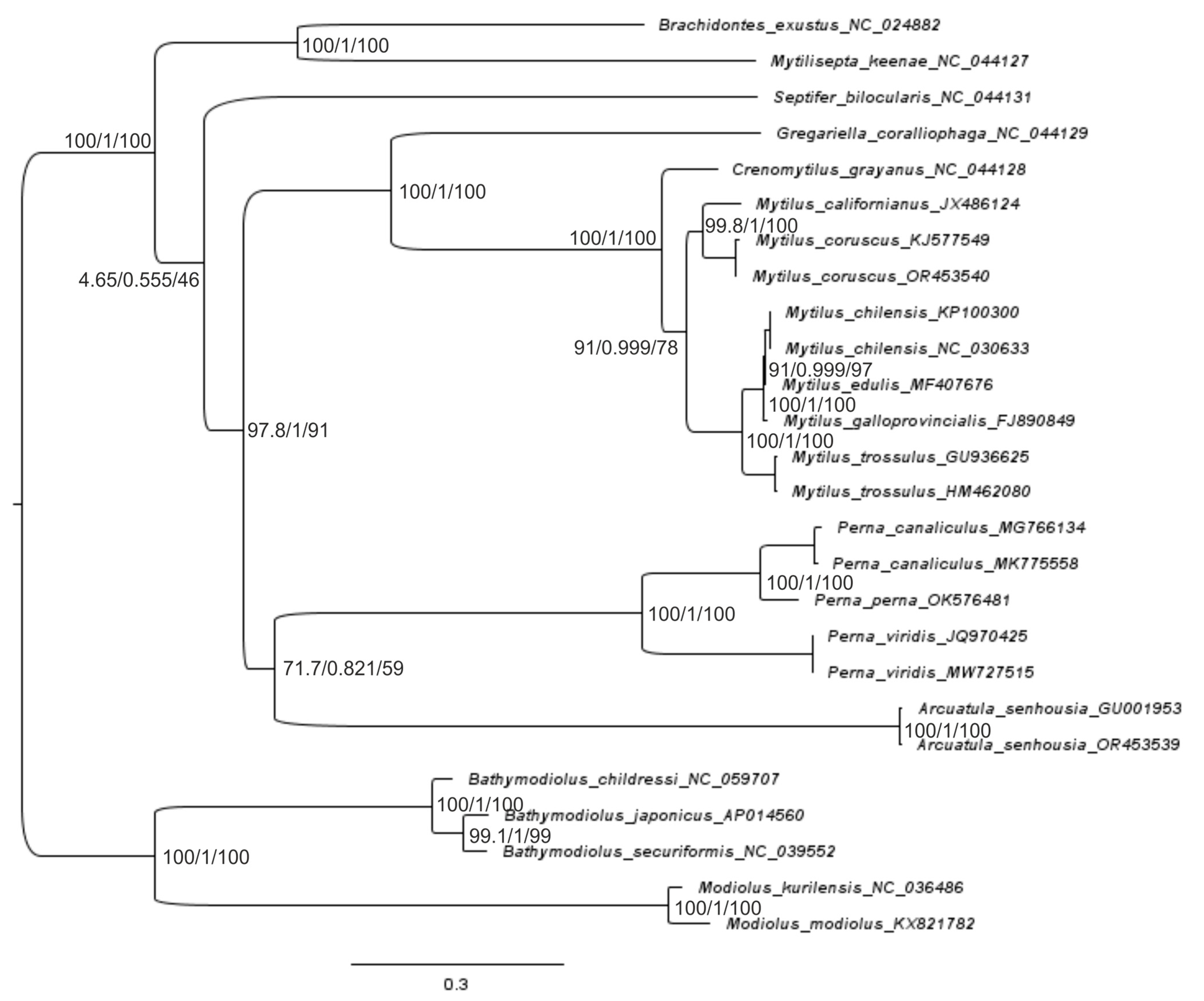 Ijms 25 06902 g006 Ijms 25 06902 g006