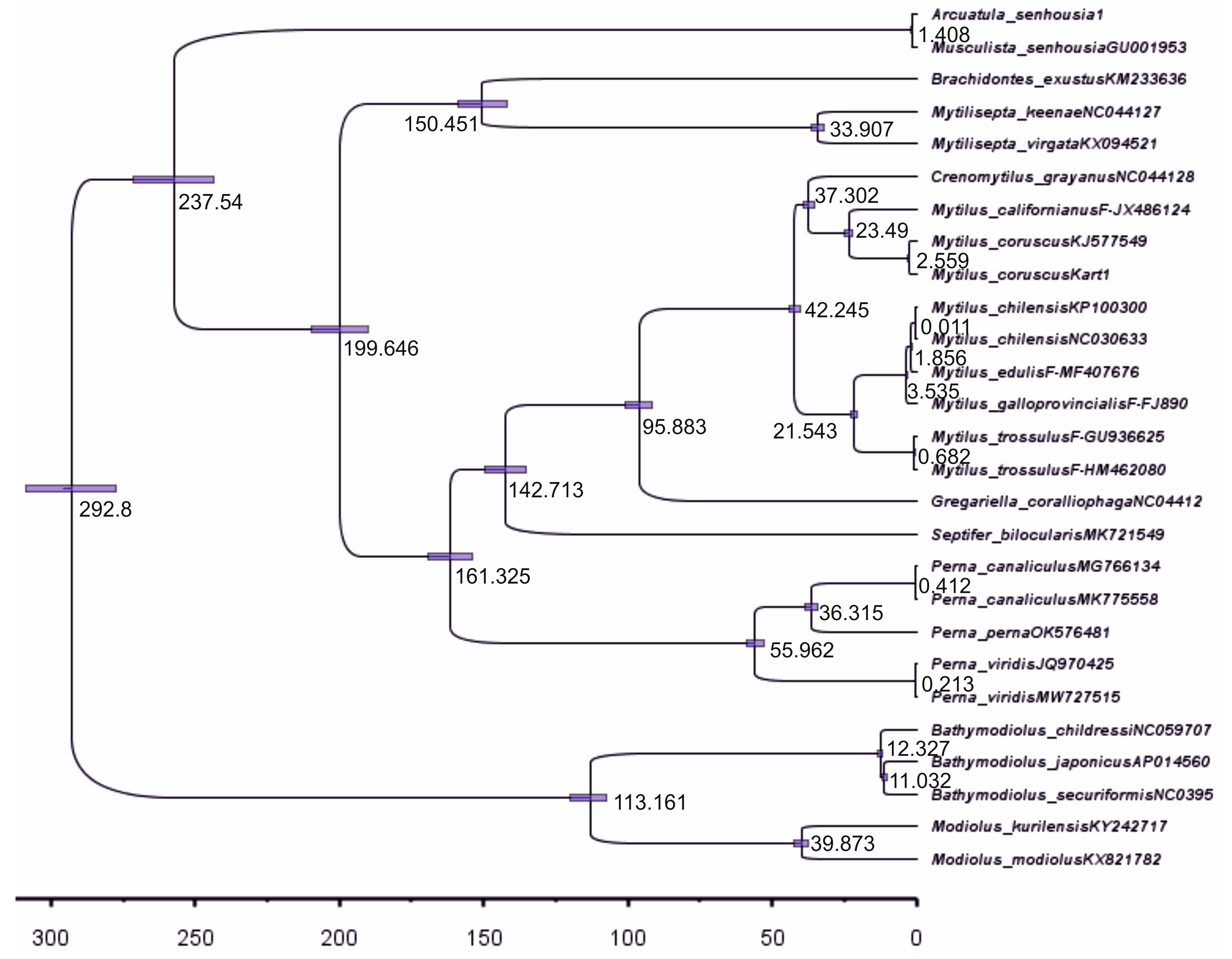 Ijms 25 06902 g007 Ijms 25 06902 g007