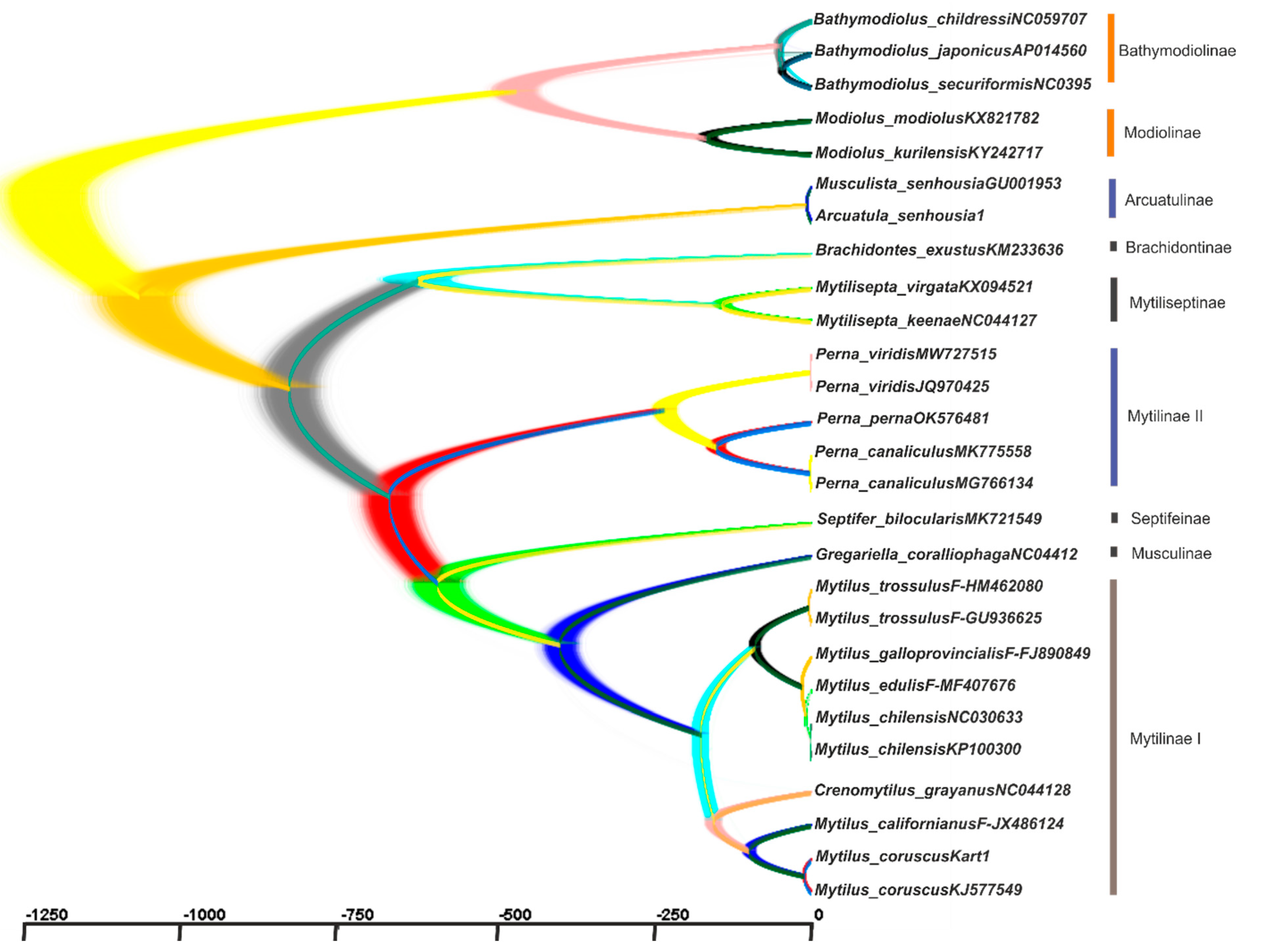 Ijms 25 06902 g008 Ijms 25 06902 g008