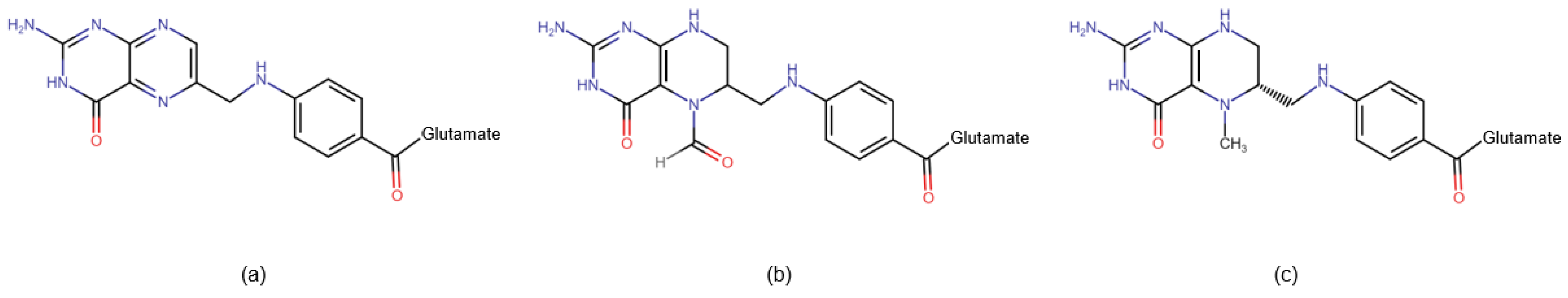 Ijms 25 06924 g002 Ijms 25 06924 g002