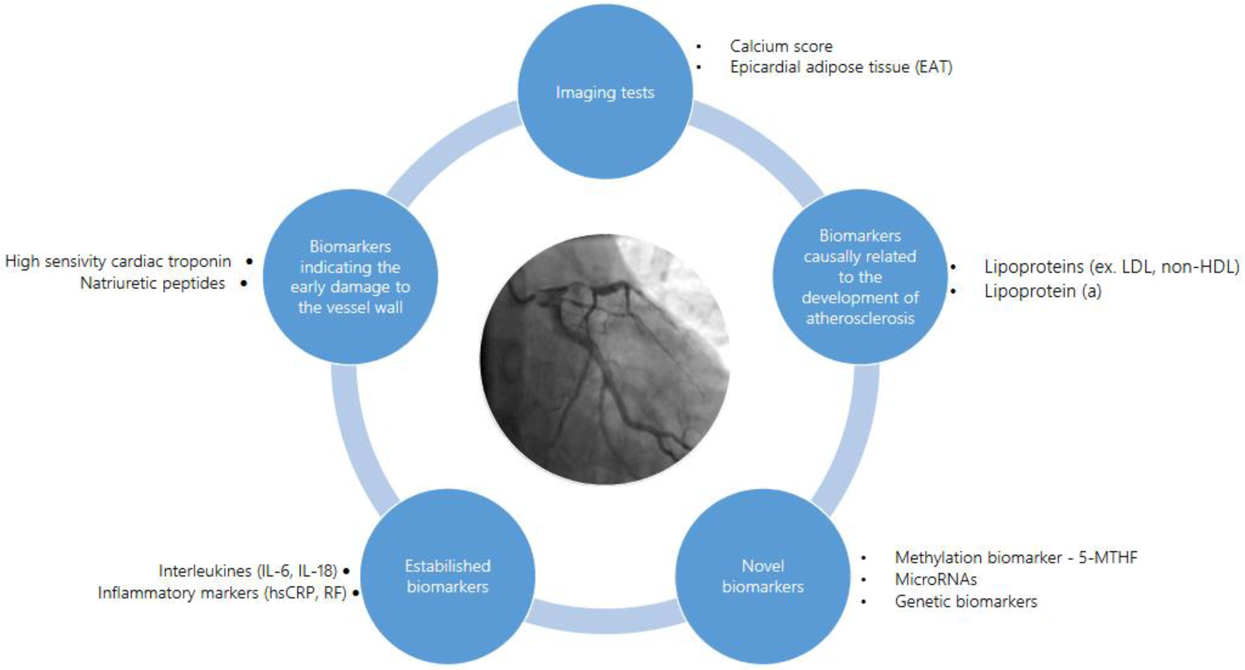 Ijms 25 06924 g004 Ijms 25 06924 g004