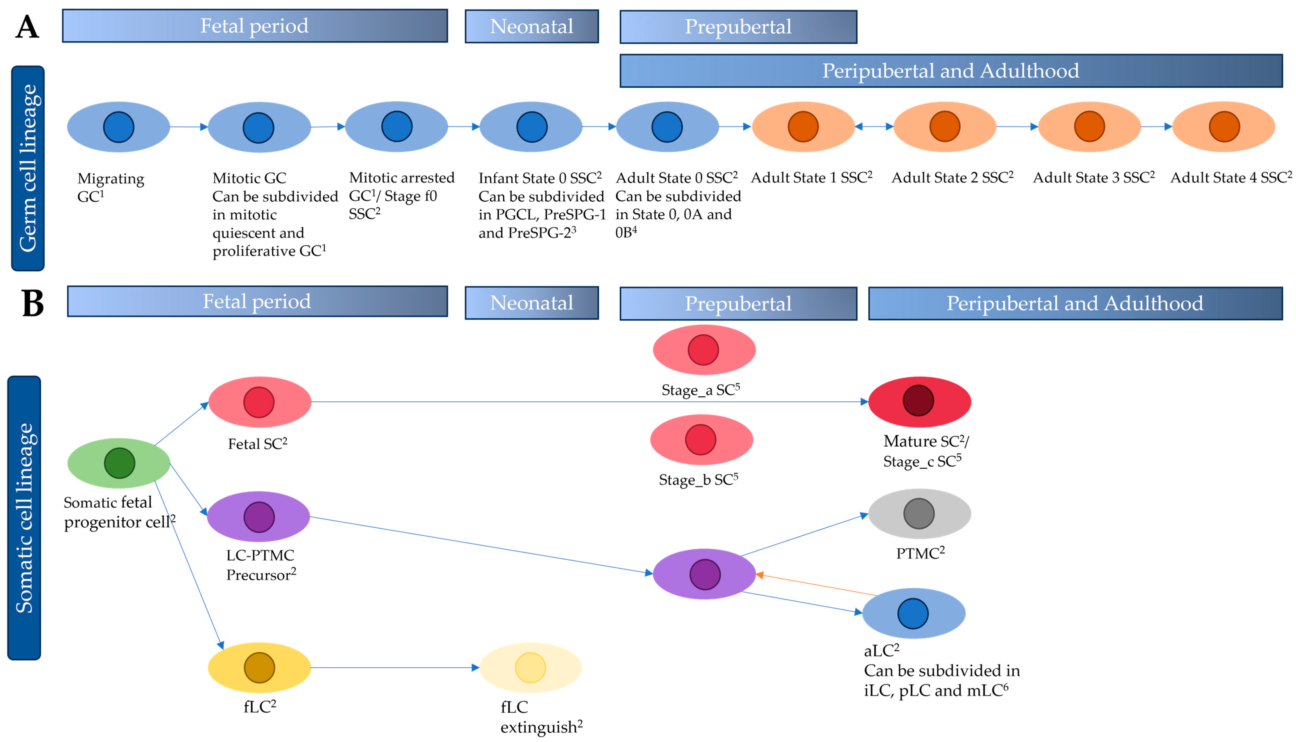 Ijms 25 06925 g002 Ijms 25 06925 g002