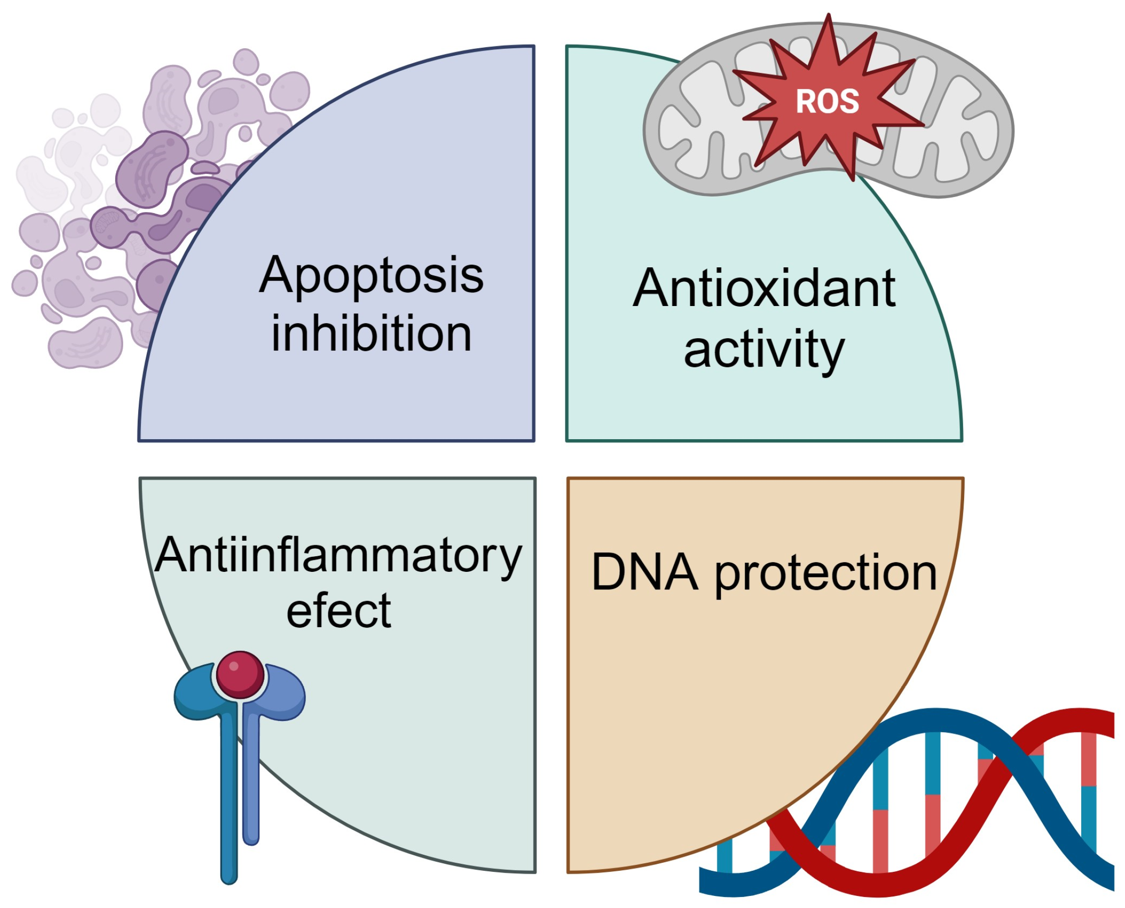 Ijms 25 06937 g002 Ijms 25 06937 g002