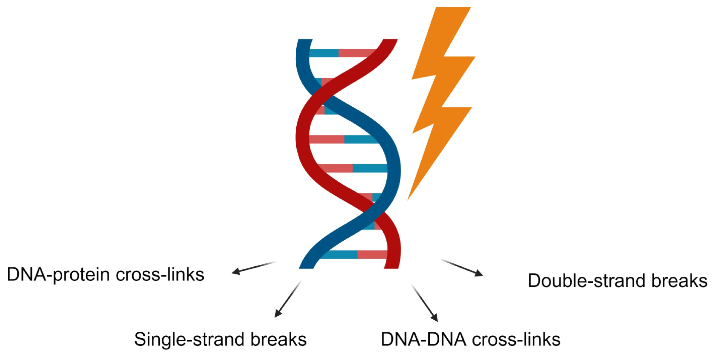 Ijms 25 06937 g004 Ijms 25 06937 g004