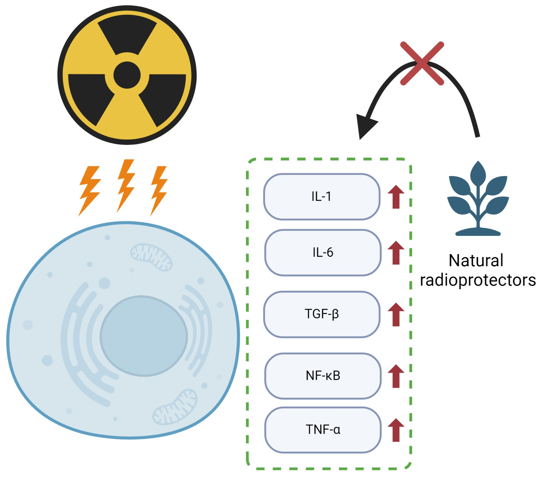 Ijms 25 06937 g006 Ijms 25 06937 g006
