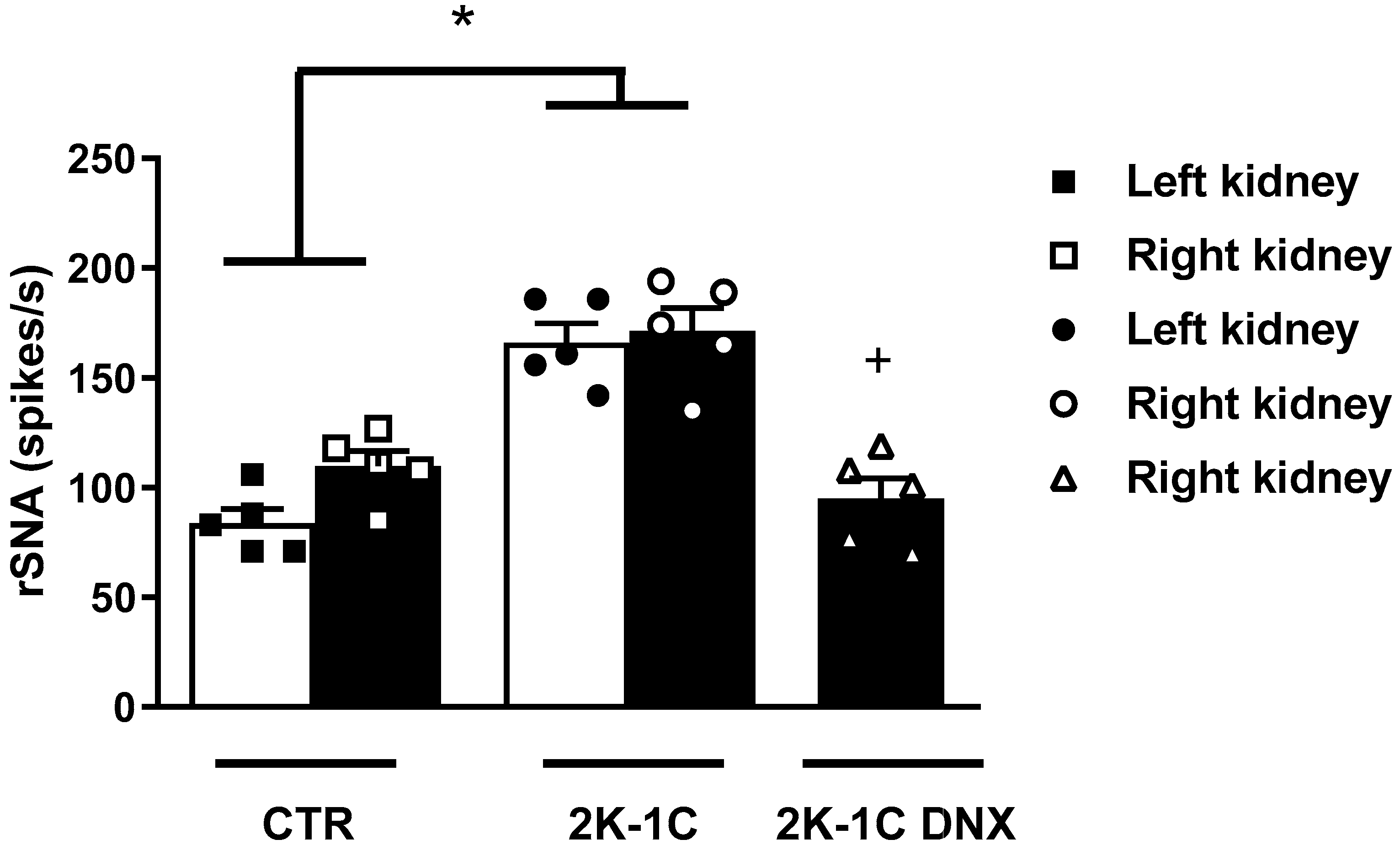 Ijms 25 06962 g001 Ijms 25 06962 g001