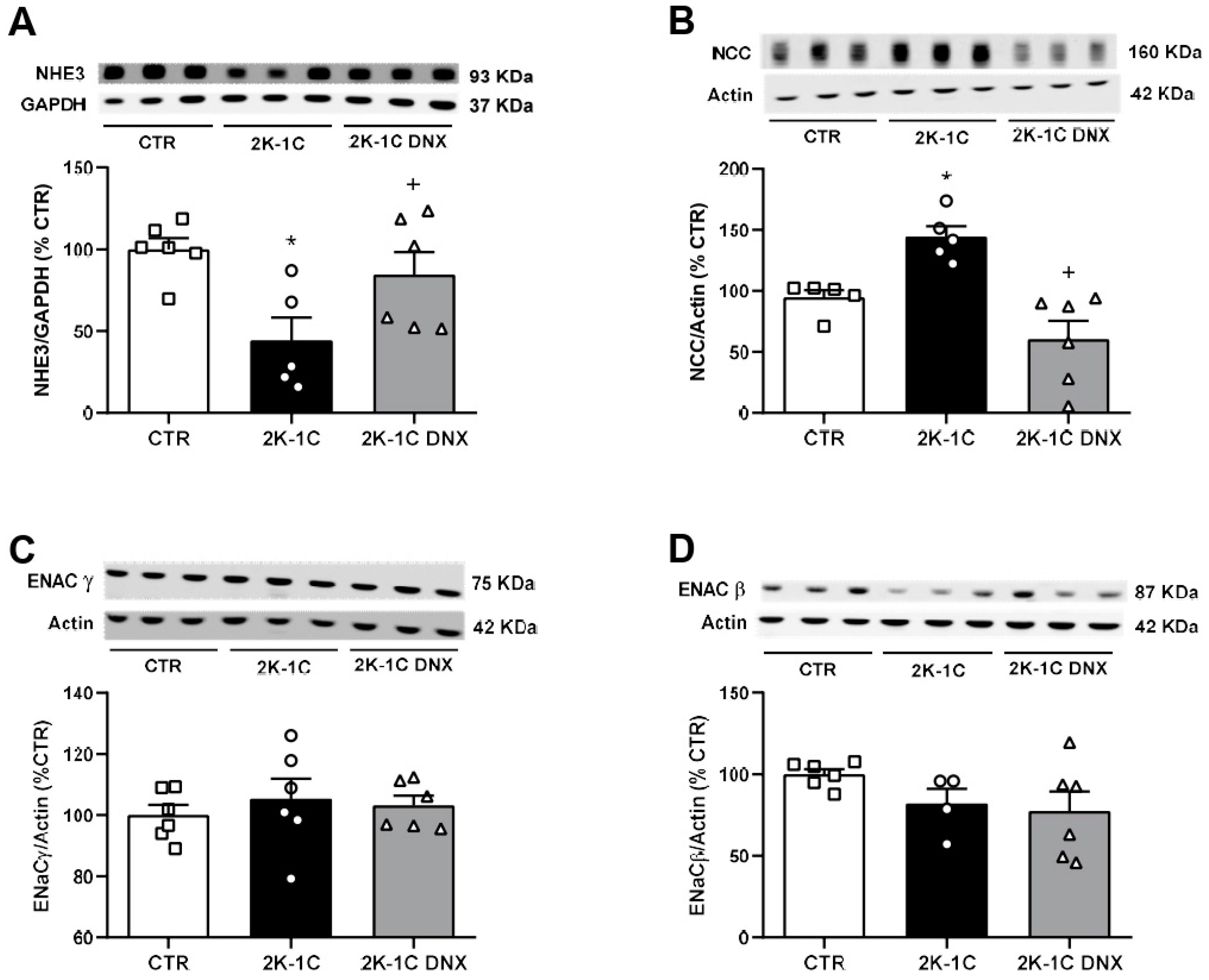 Ijms 25 06962 g004 Ijms 25 06962 g004