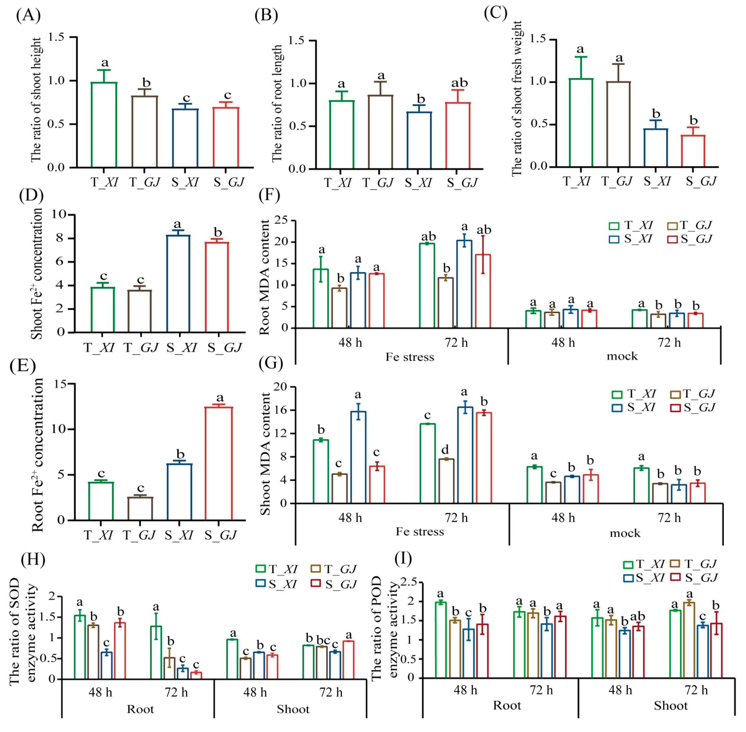 Ijms 25 06970 g002 Ijms 25 06970 g002