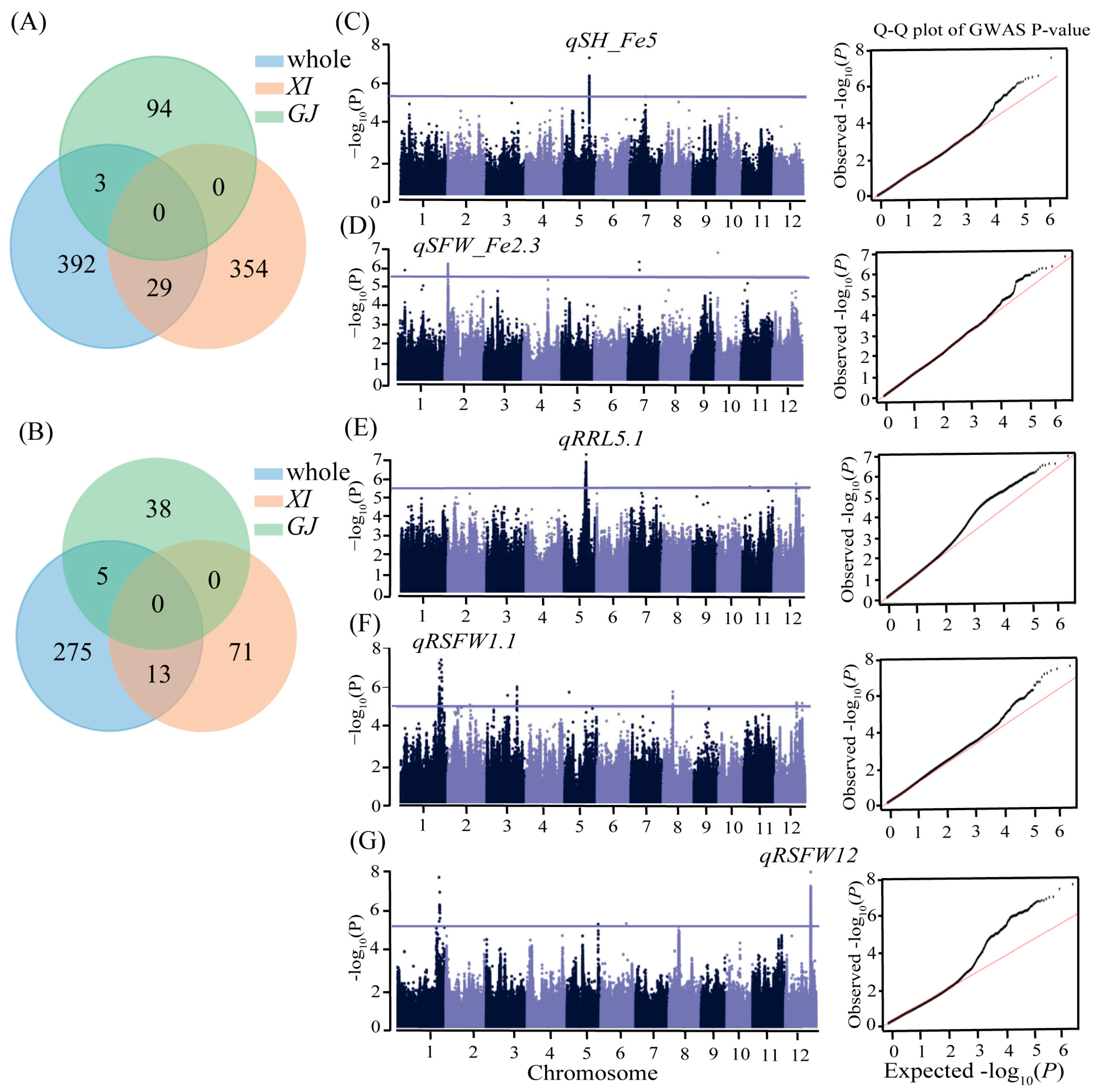Ijms 25 06970 g003 Ijms 25 06970 g003