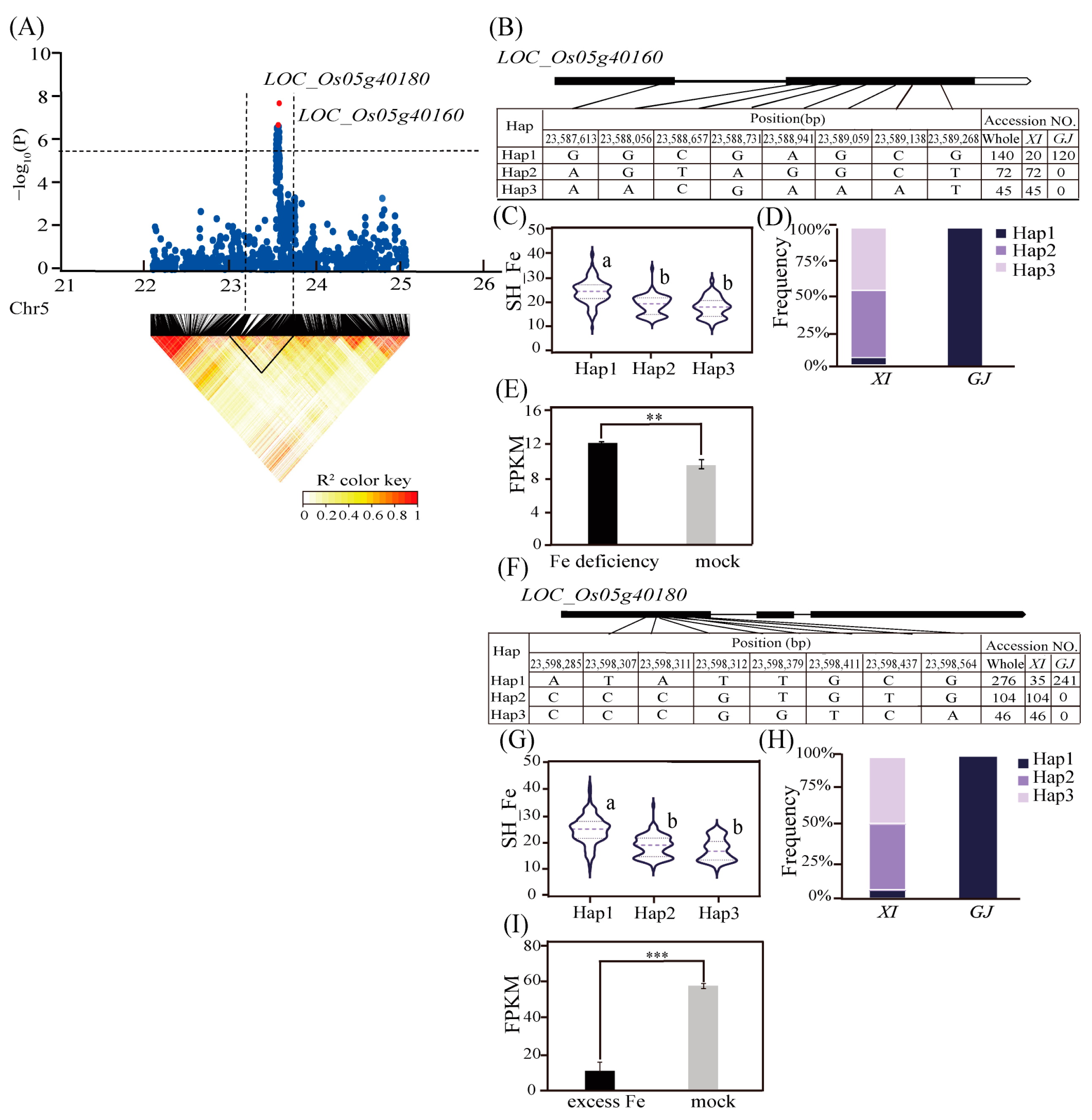 Ijms 25 06970 g004 Ijms 25 06970 g004