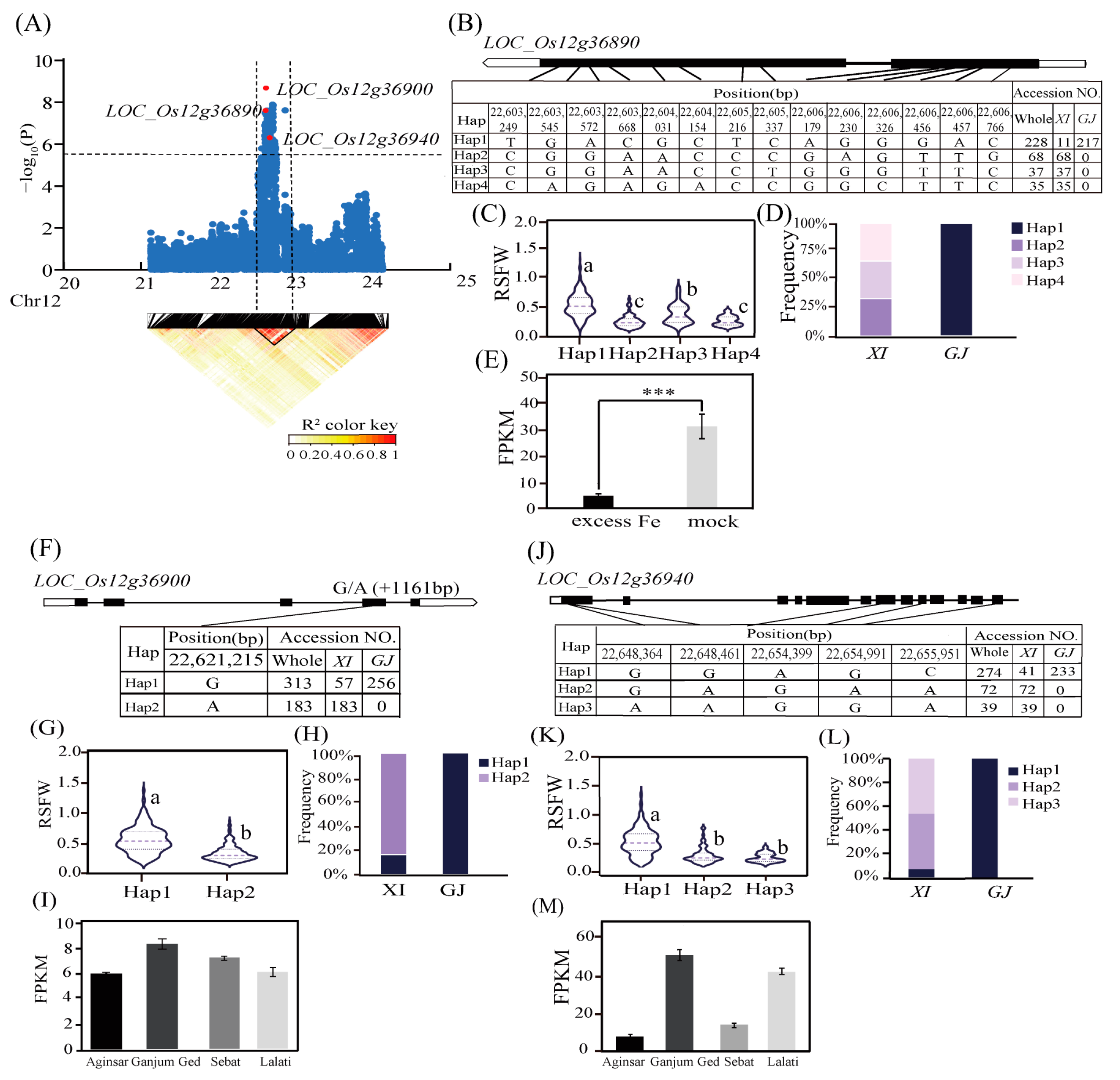 Ijms 25 06970 g005 Ijms 25 06970 g005