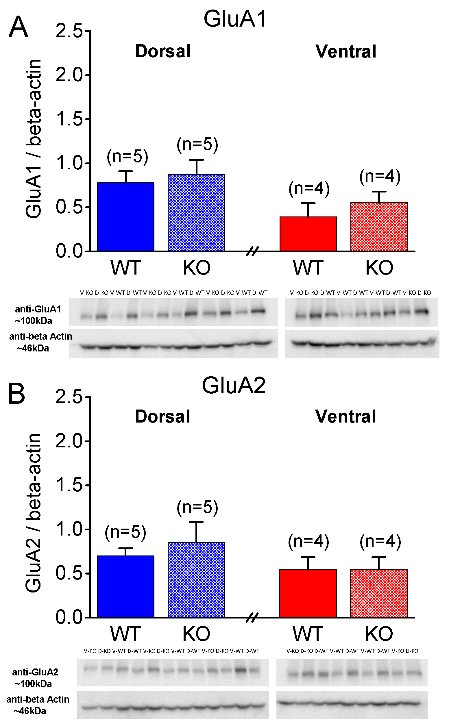 Ijms 25 06975 g008 Ijms 25 06975 g008