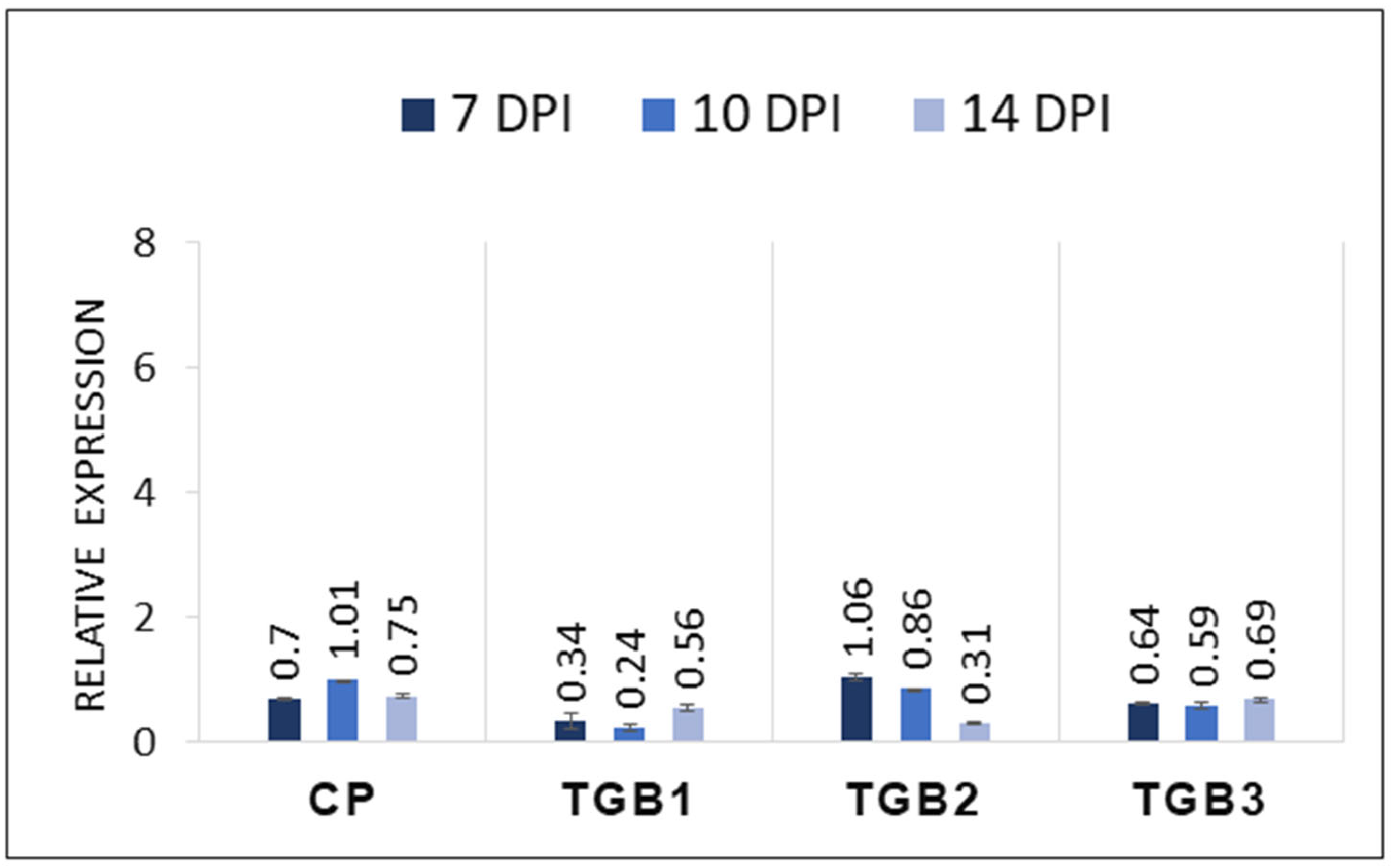 Ijms 25 06990 g006 Ijms 25 06990 g006