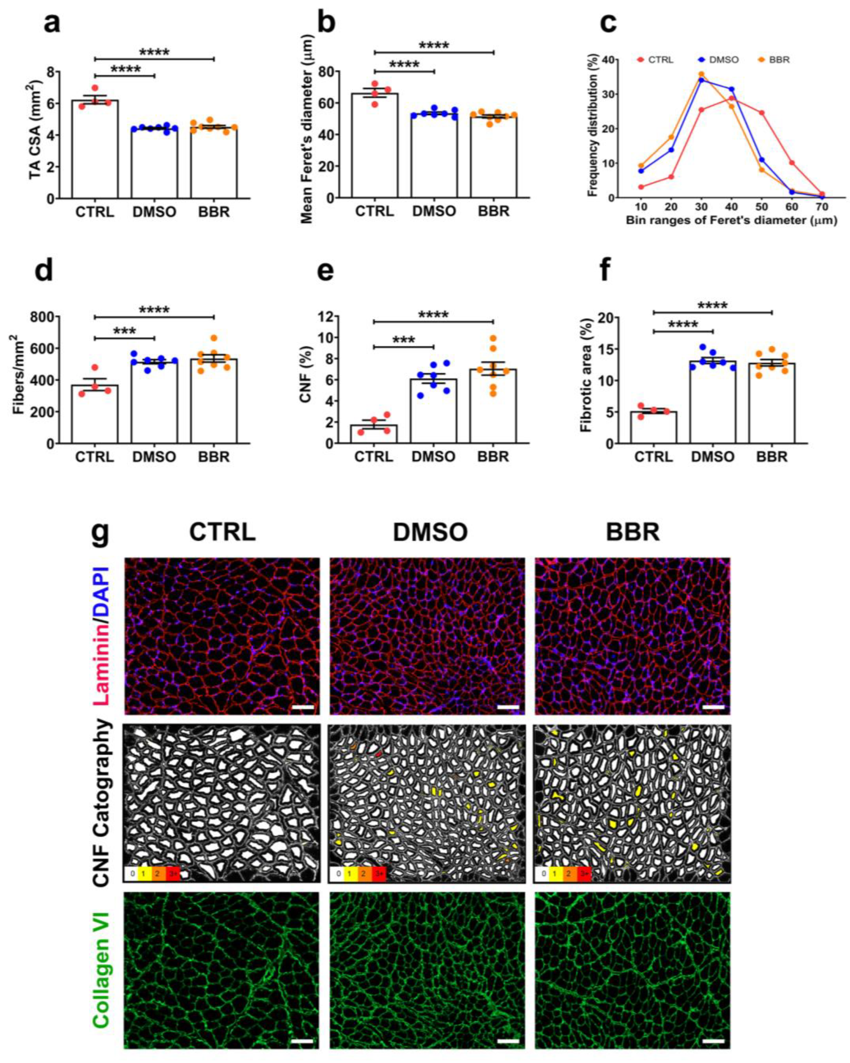 Ijms 25 06994 g003 Ijms 25 06994 g003