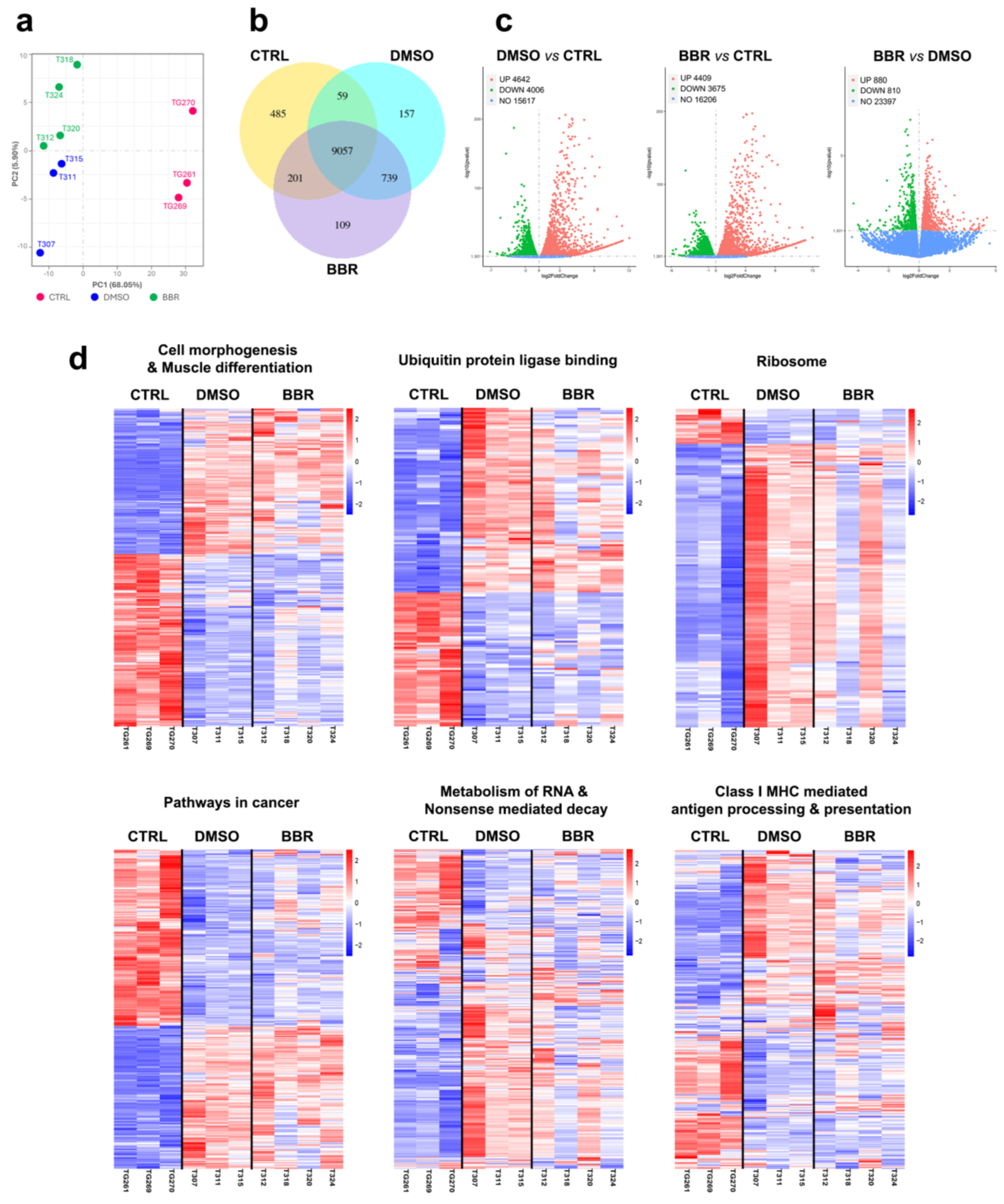 Ijms 25 06994 g004 Ijms 25 06994 g004
