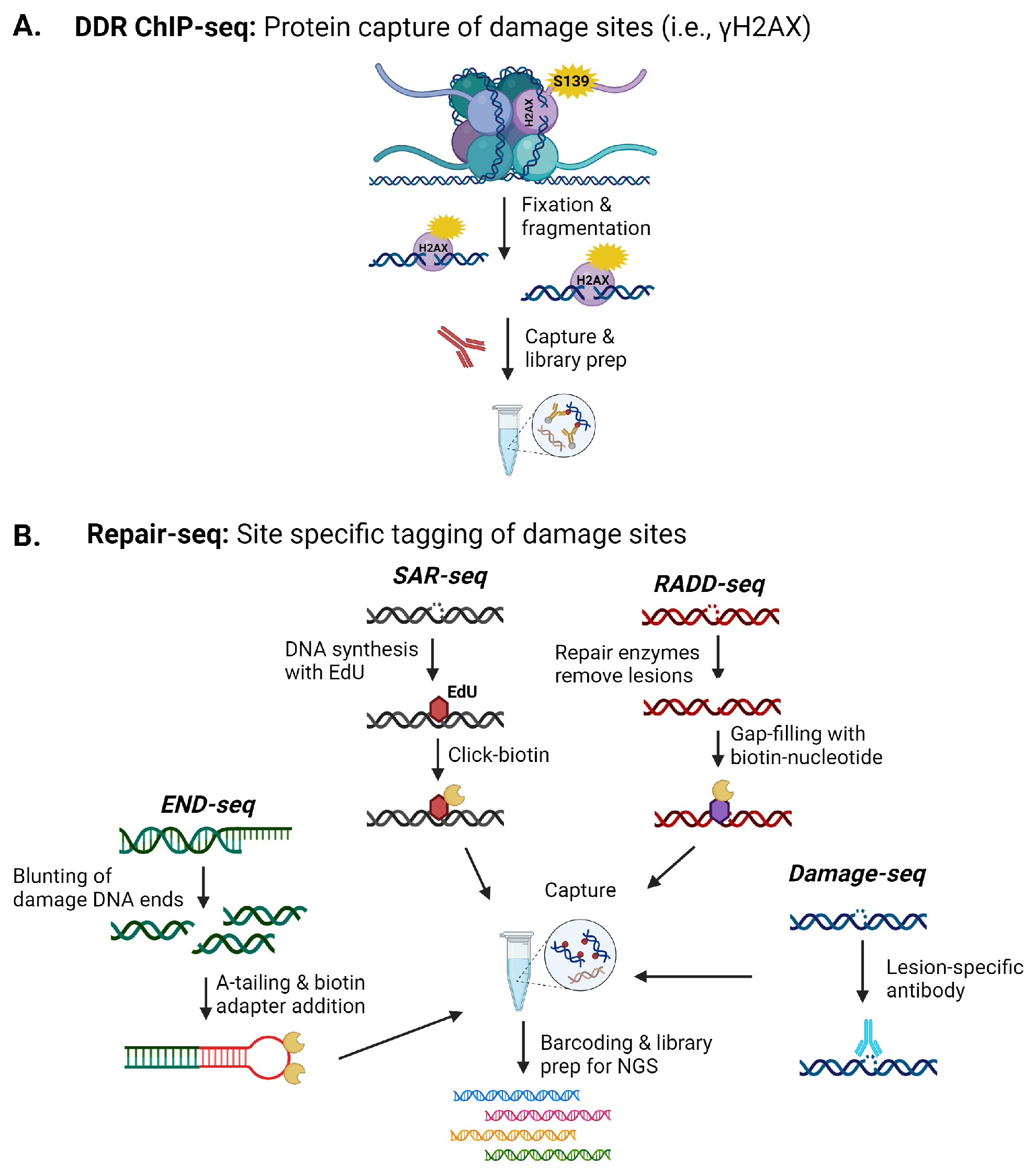 Ijms 25 07021 g001 Ijms 25 07021 g001