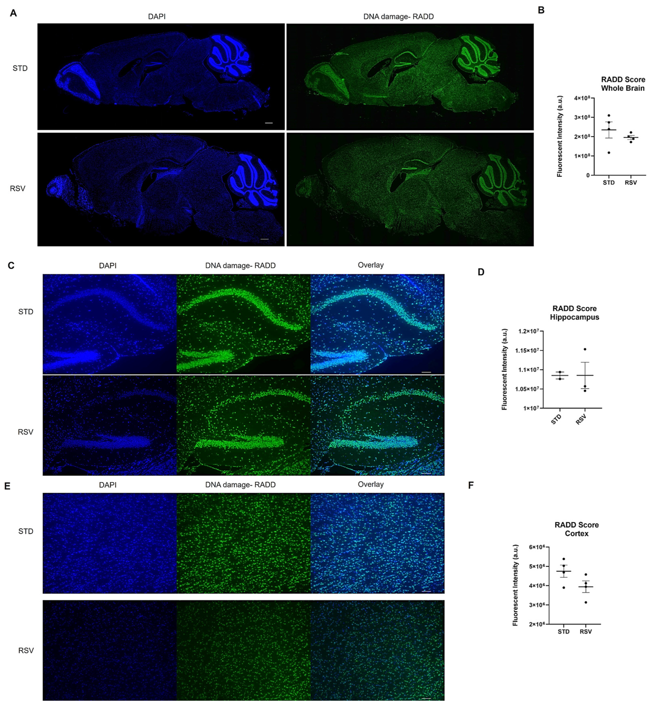 Ijms 25 07021 g004 Ijms 25 07021 g004