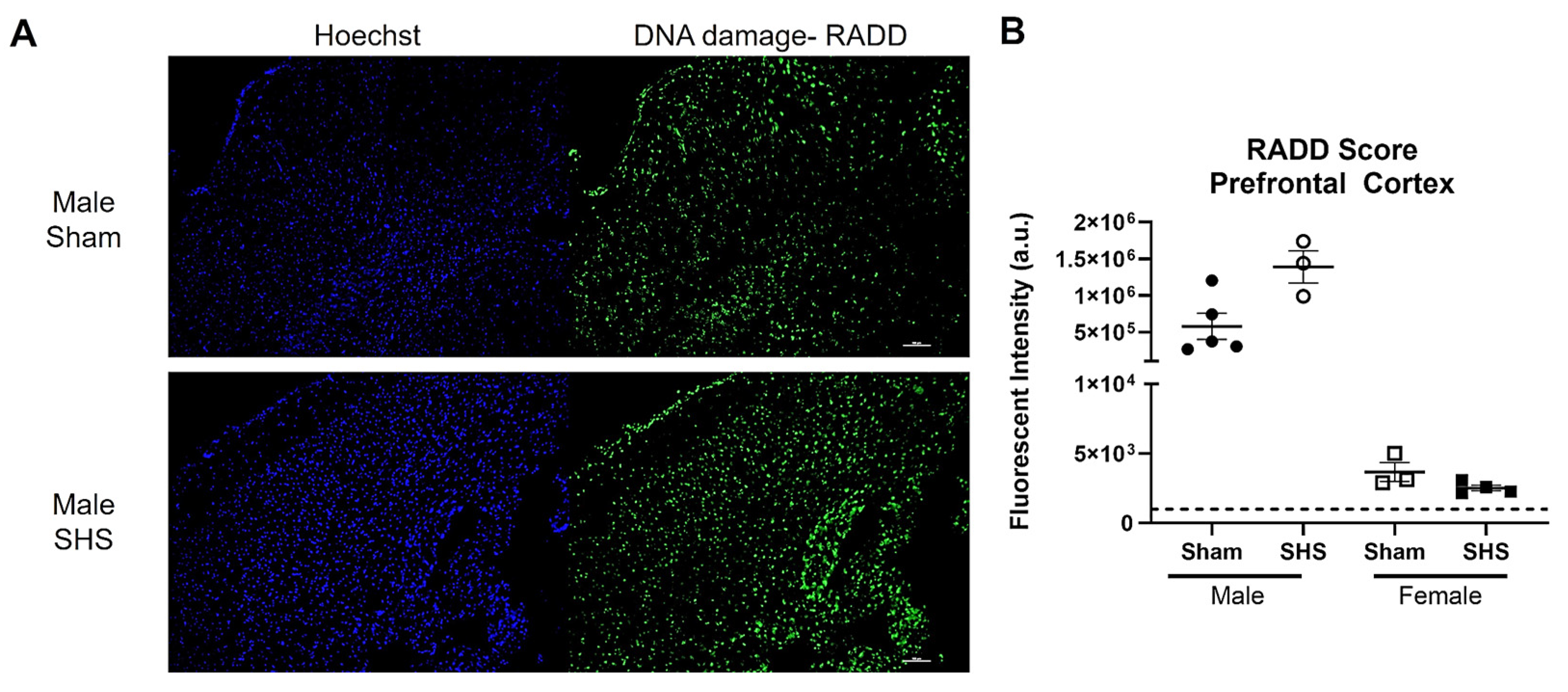 Ijms 25 07021 g005 Ijms 25 07021 g005