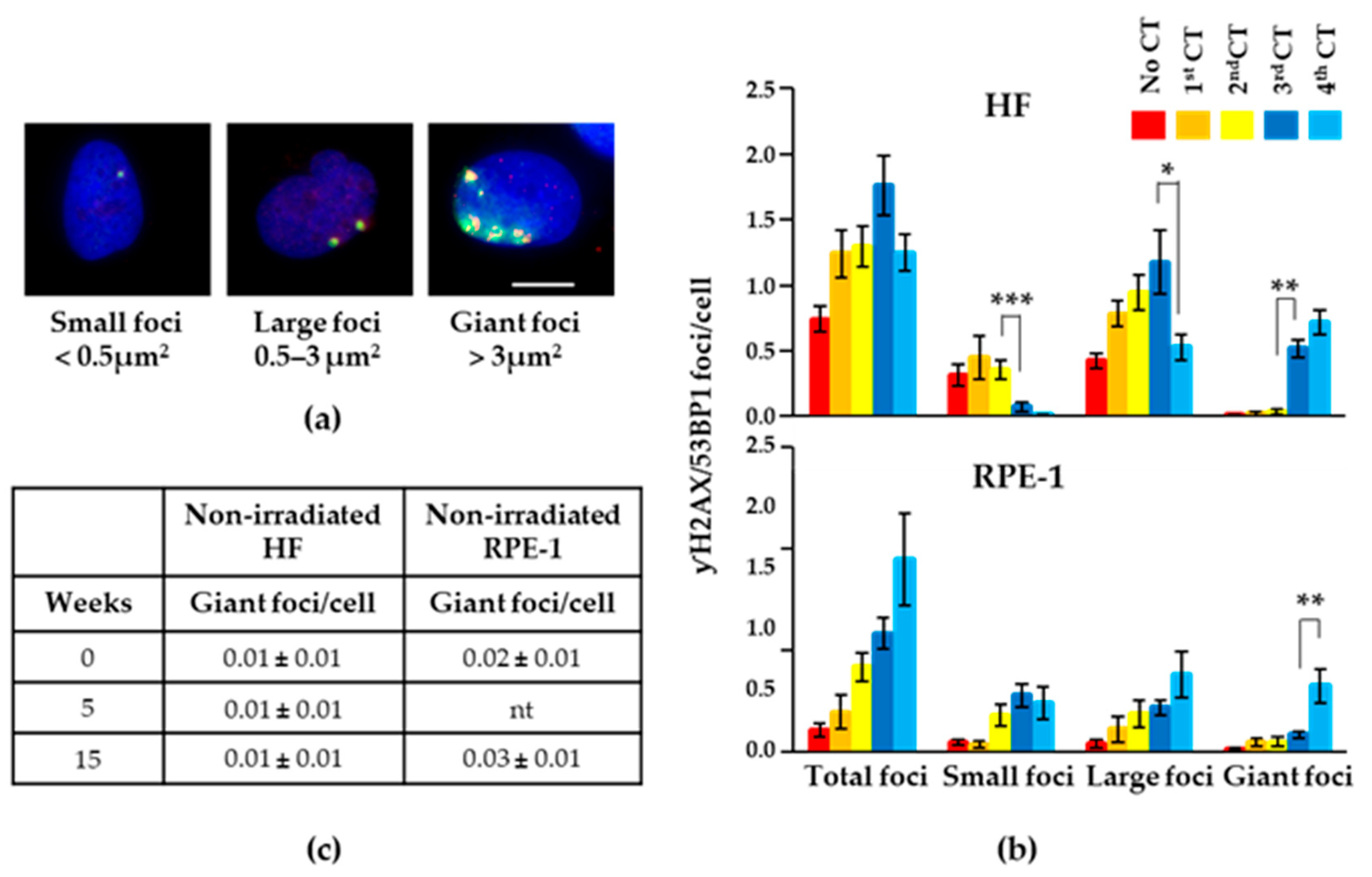 Ijms 25 07064 g004 Ijms 25 07064 g004