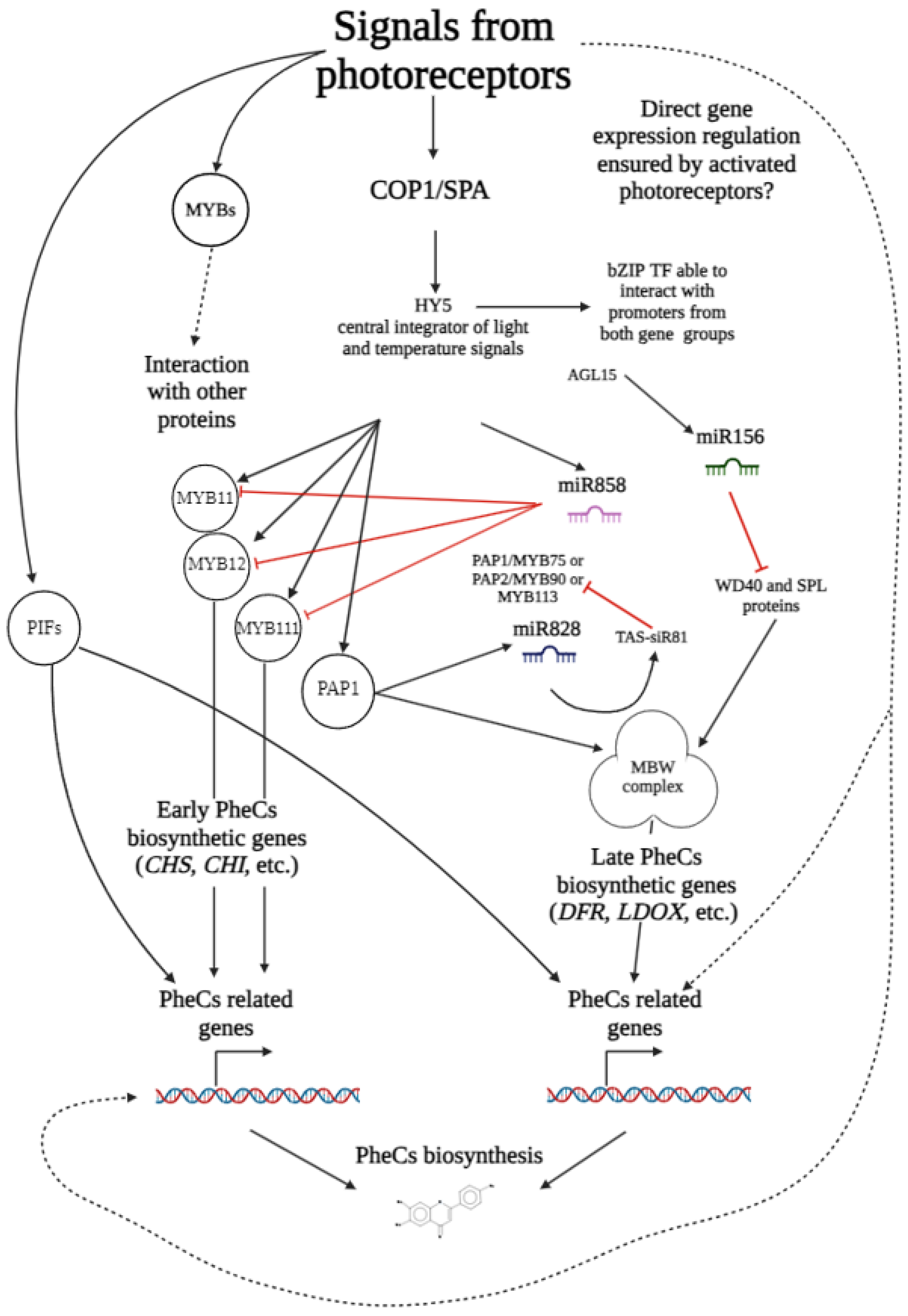 Ijms 25 07066 g005 Ijms 25 07066 g005