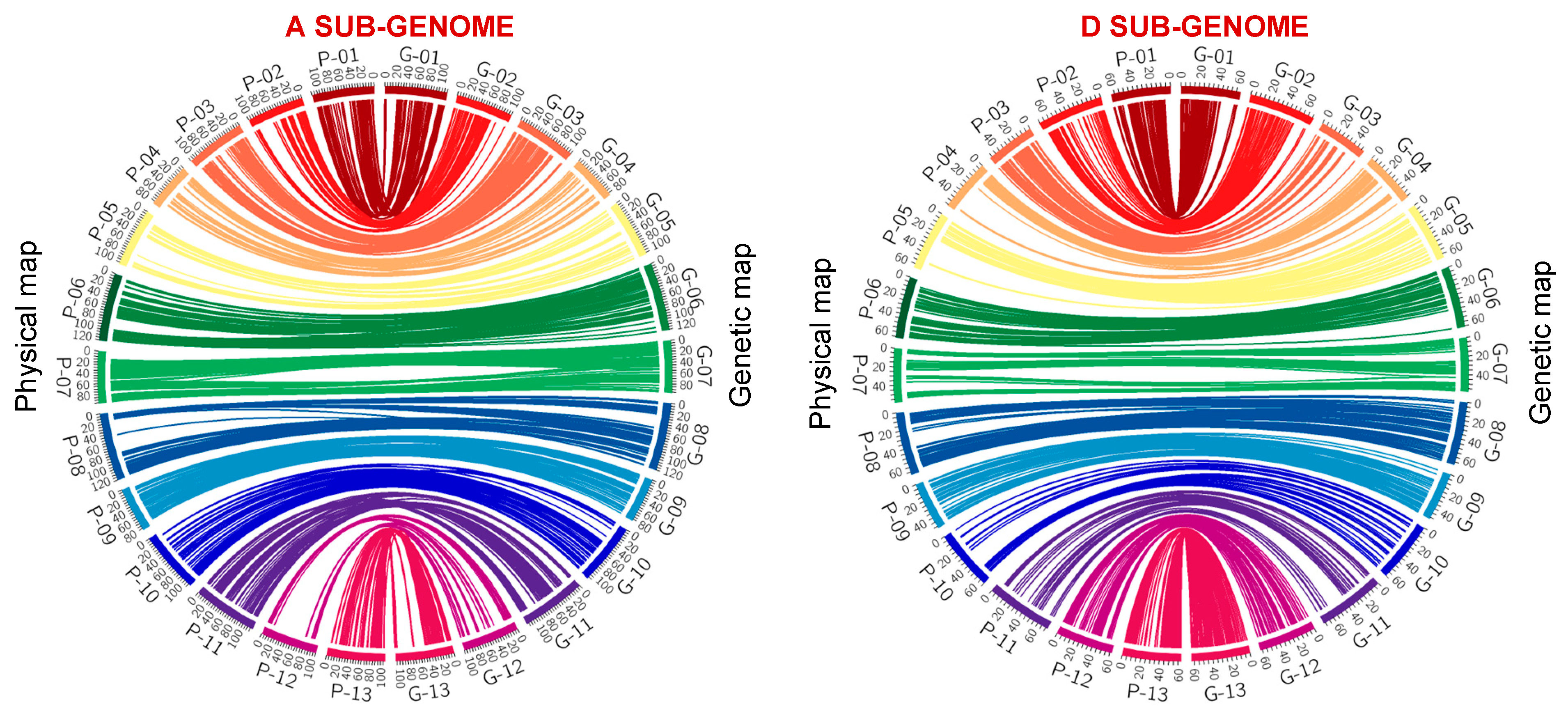 Ijms 25 07080 g002 Ijms 25 07080 g002