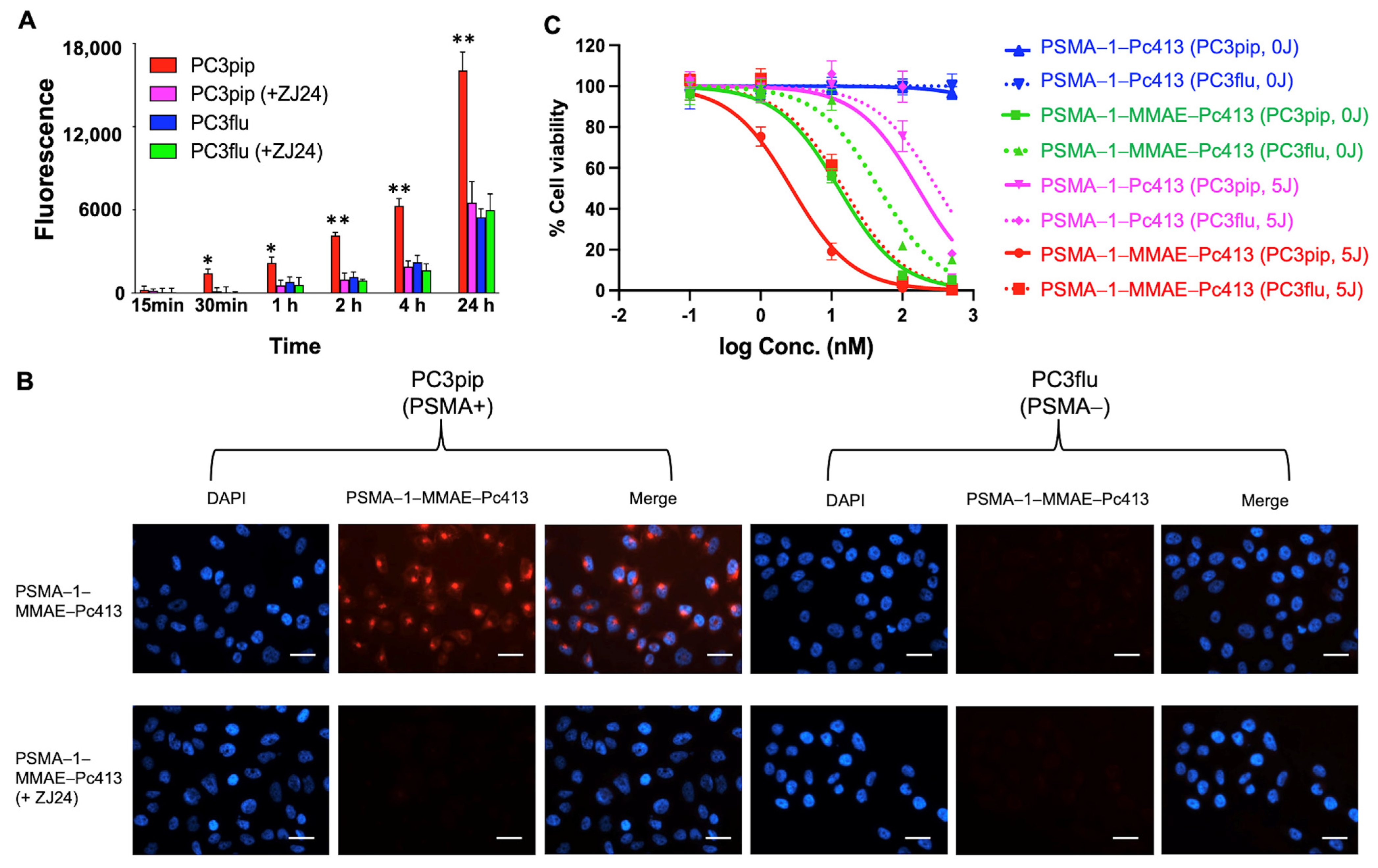 Ijms 25 07086 g003 Ijms 25 07086 g003
