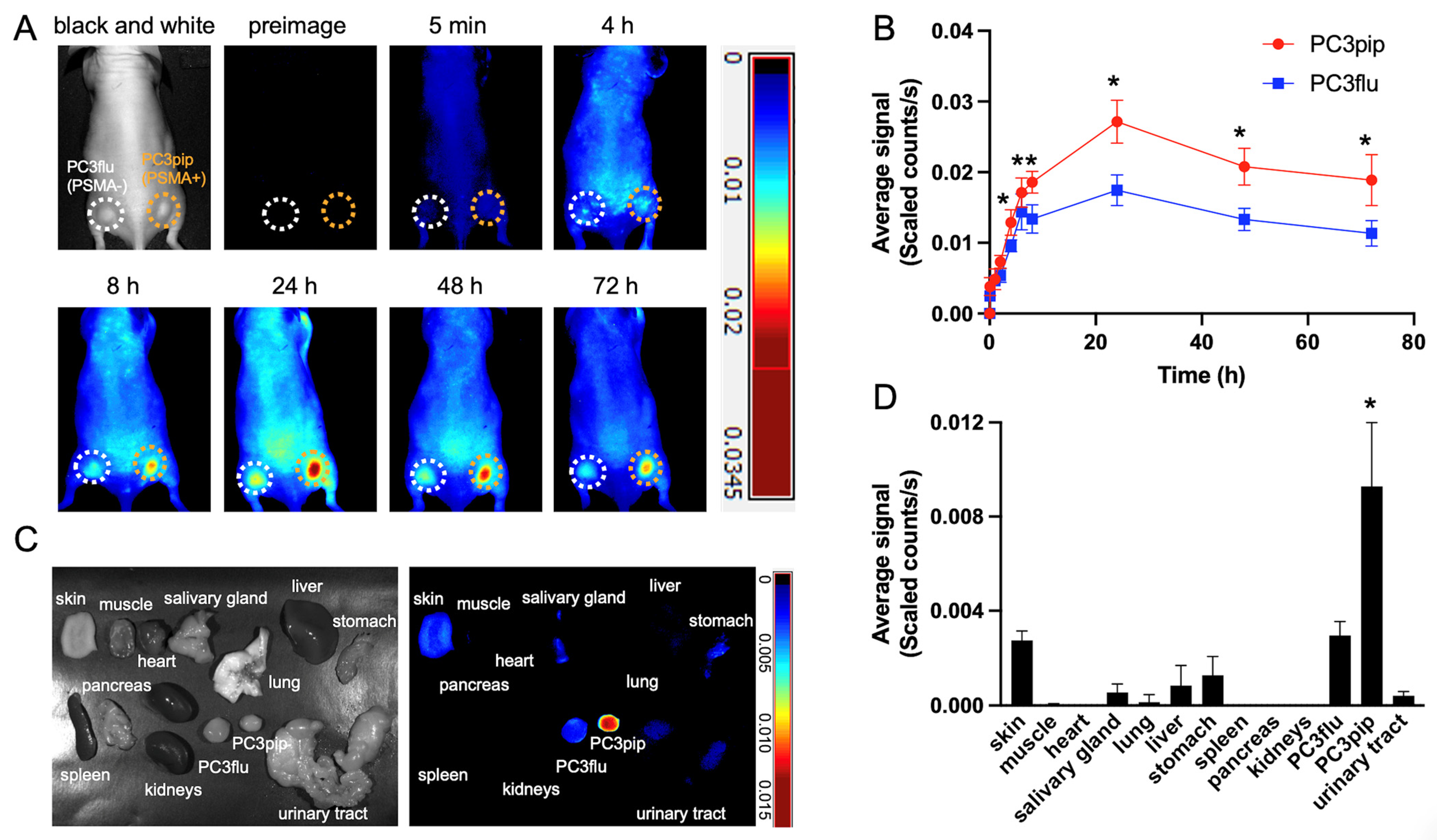 Ijms 25 07086 g004 Ijms 25 07086 g004