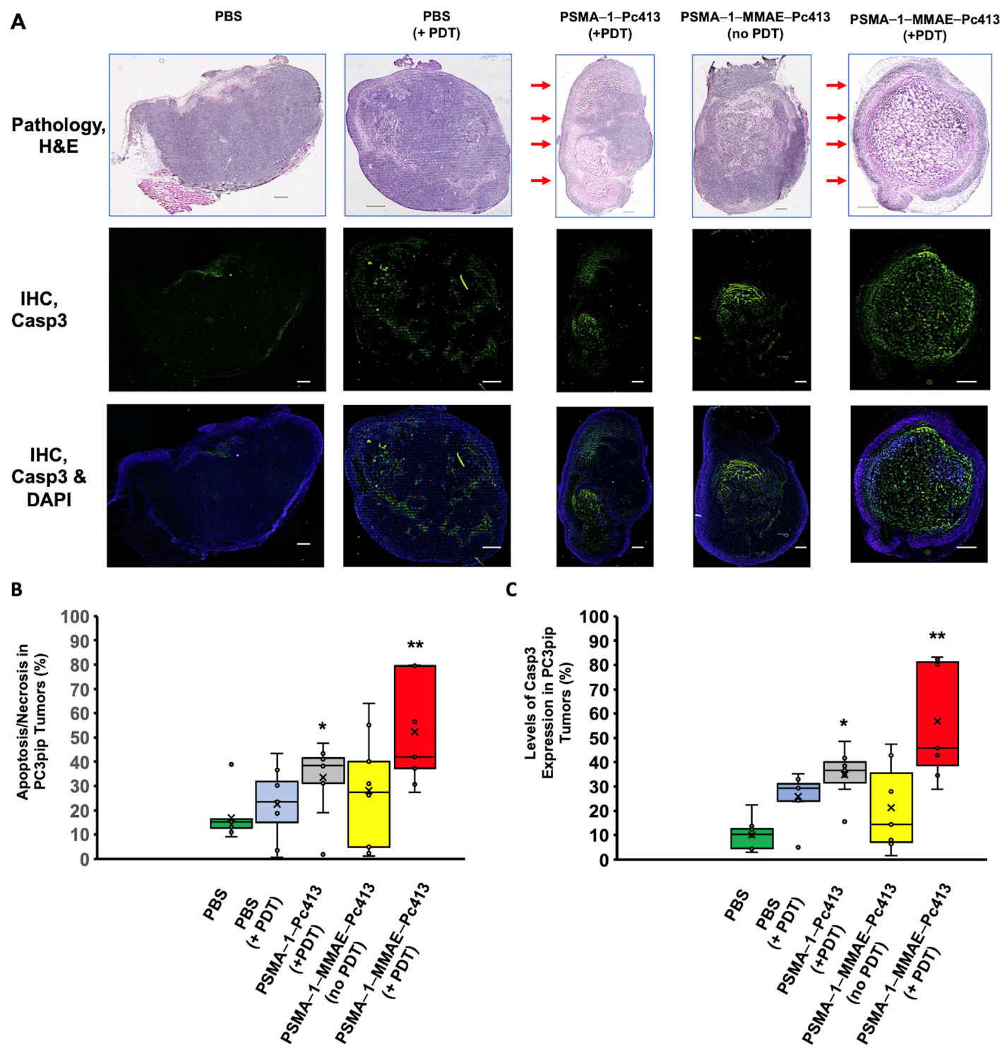 Ijms 25 07086 g006 Ijms 25 07086 g006