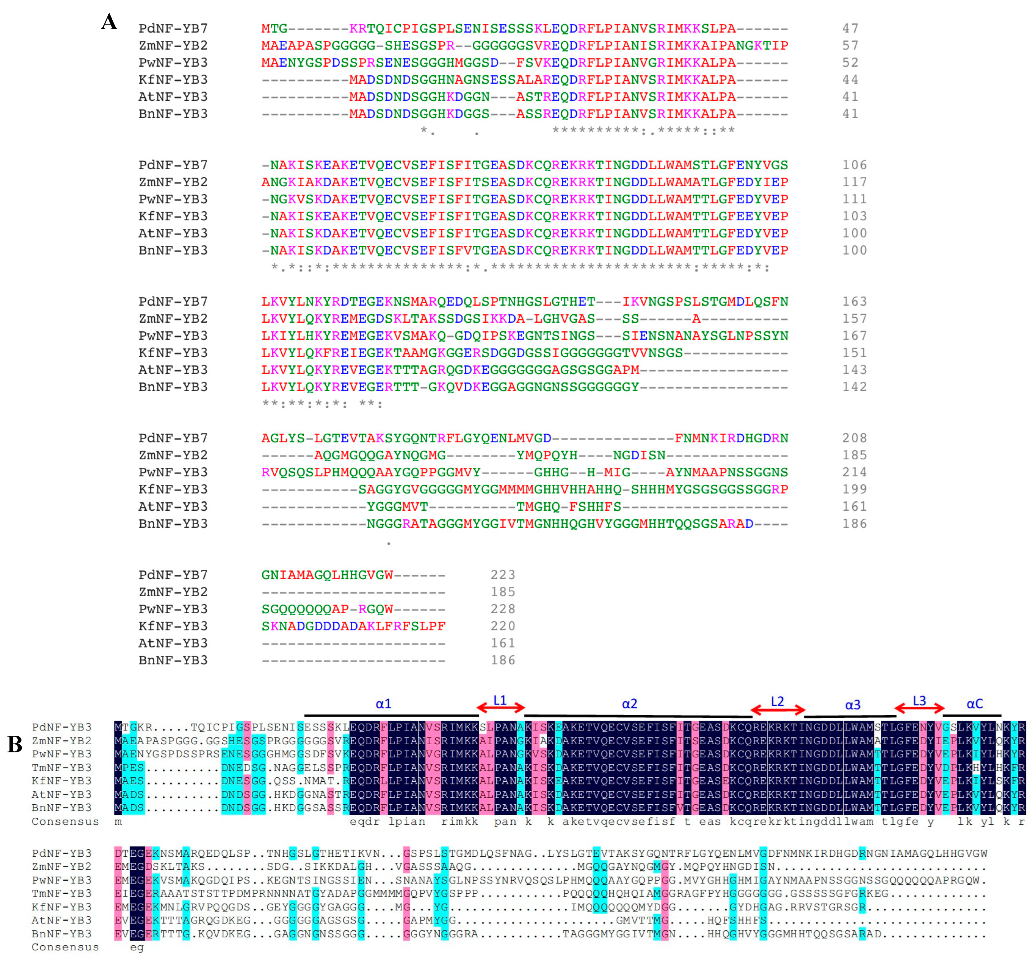 Ijms 25 07107 g001a Ijms 25 07107 g001a