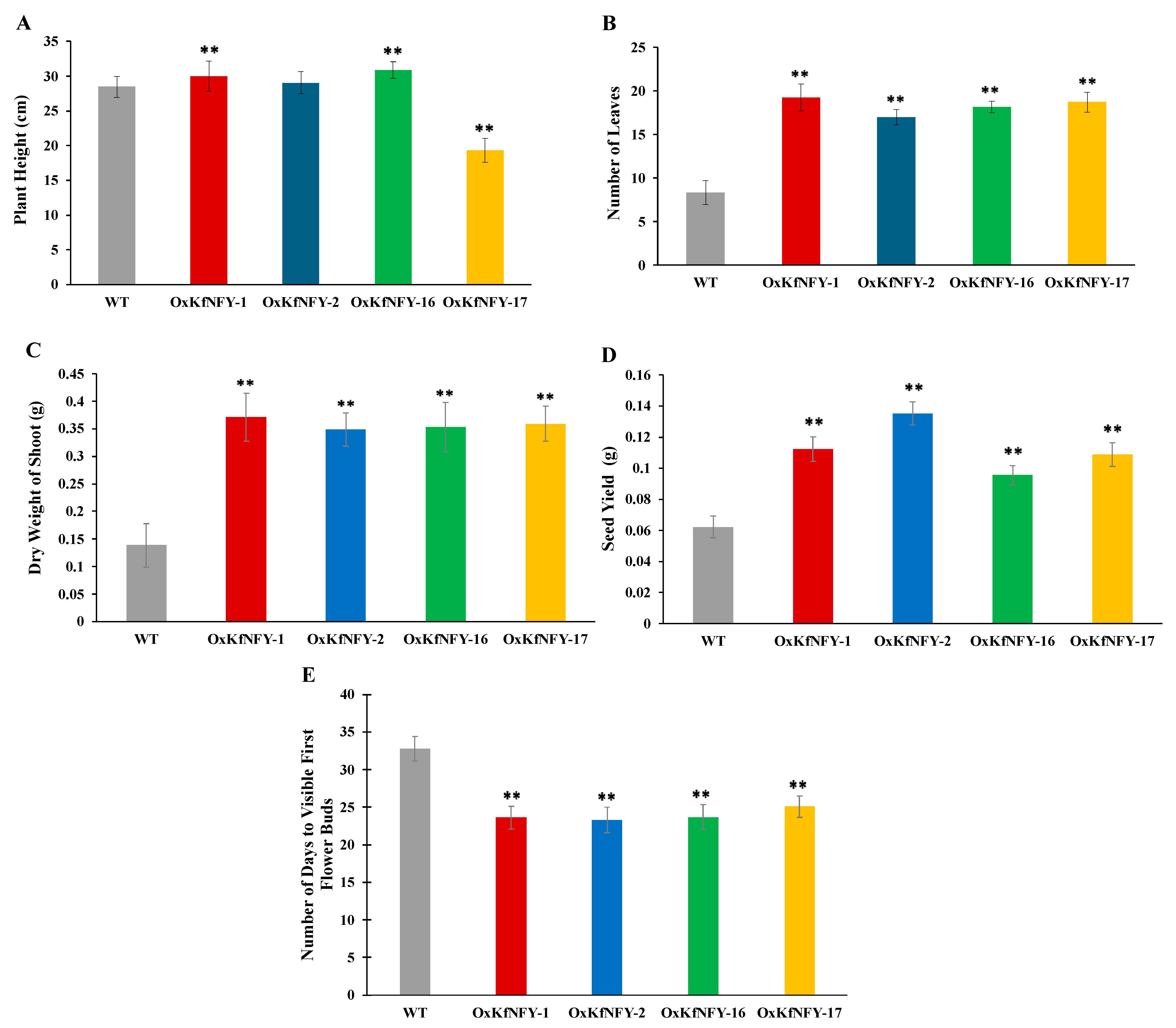 Ijms 25 07107 g003 Ijms 25 07107 g003