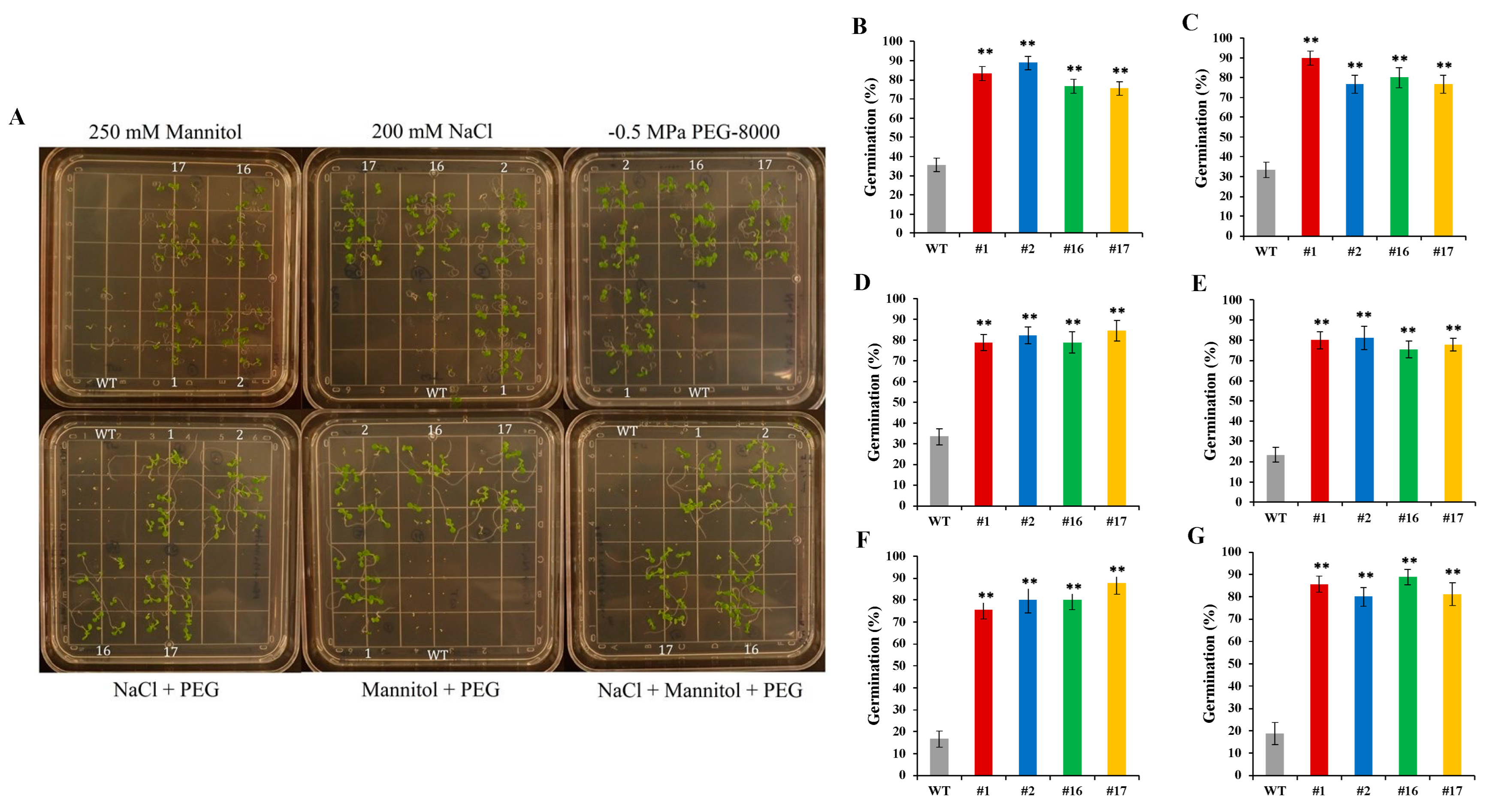 Ijms 25 07107 g007a Ijms 25 07107 g007a