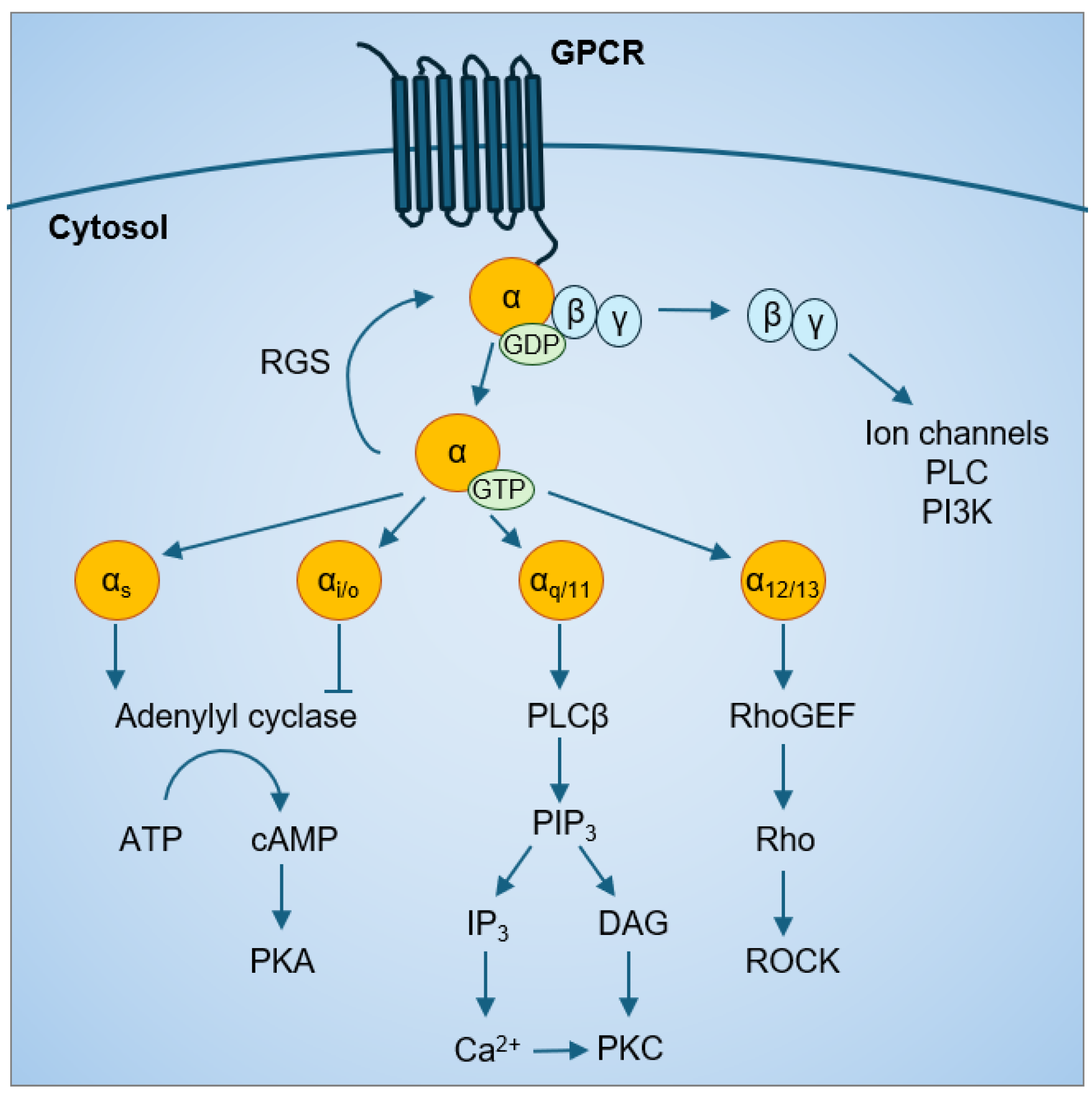 Ijms 25 07162 g001 Ijms 25 07162 g001
