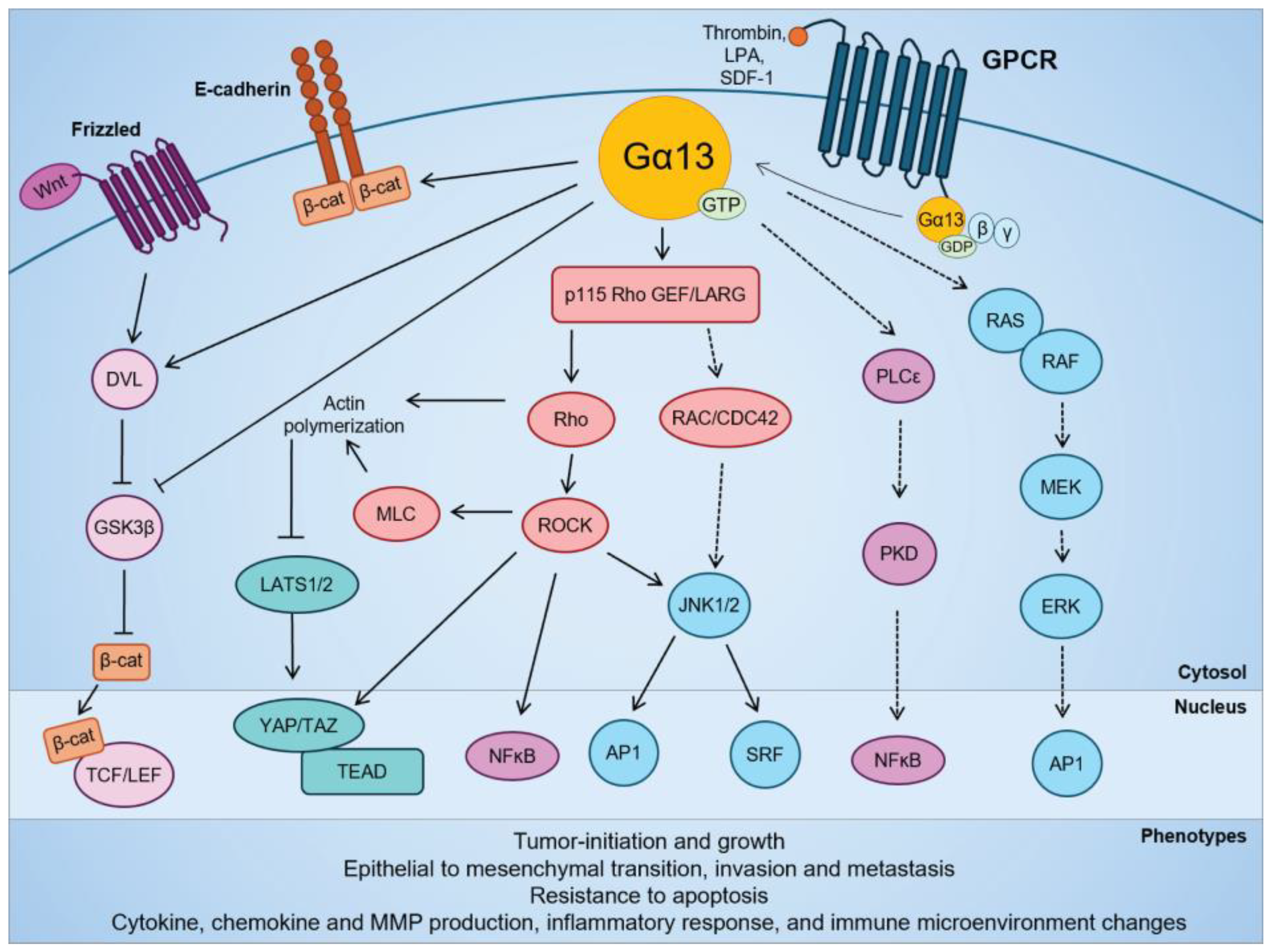 Ijms 25 07162 g002 Ijms 25 07162 g002