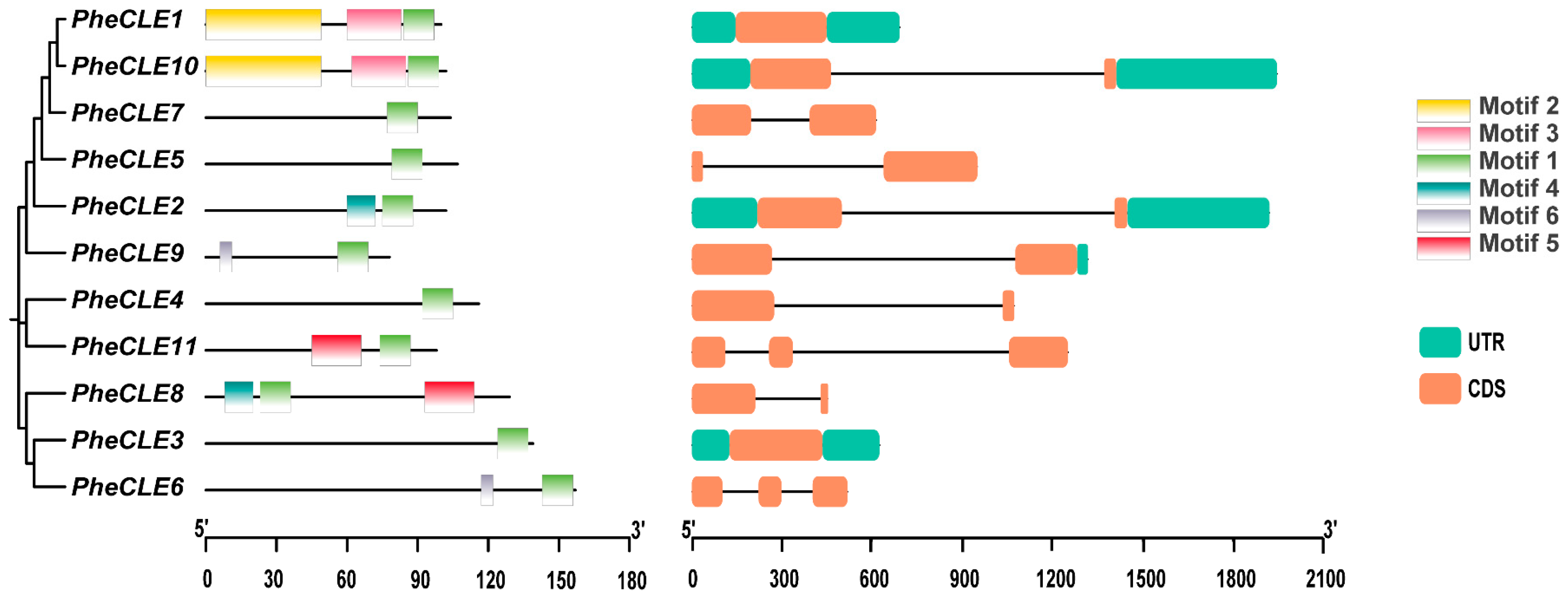 Ijms 25 07190 g002 Ijms 25 07190 g002