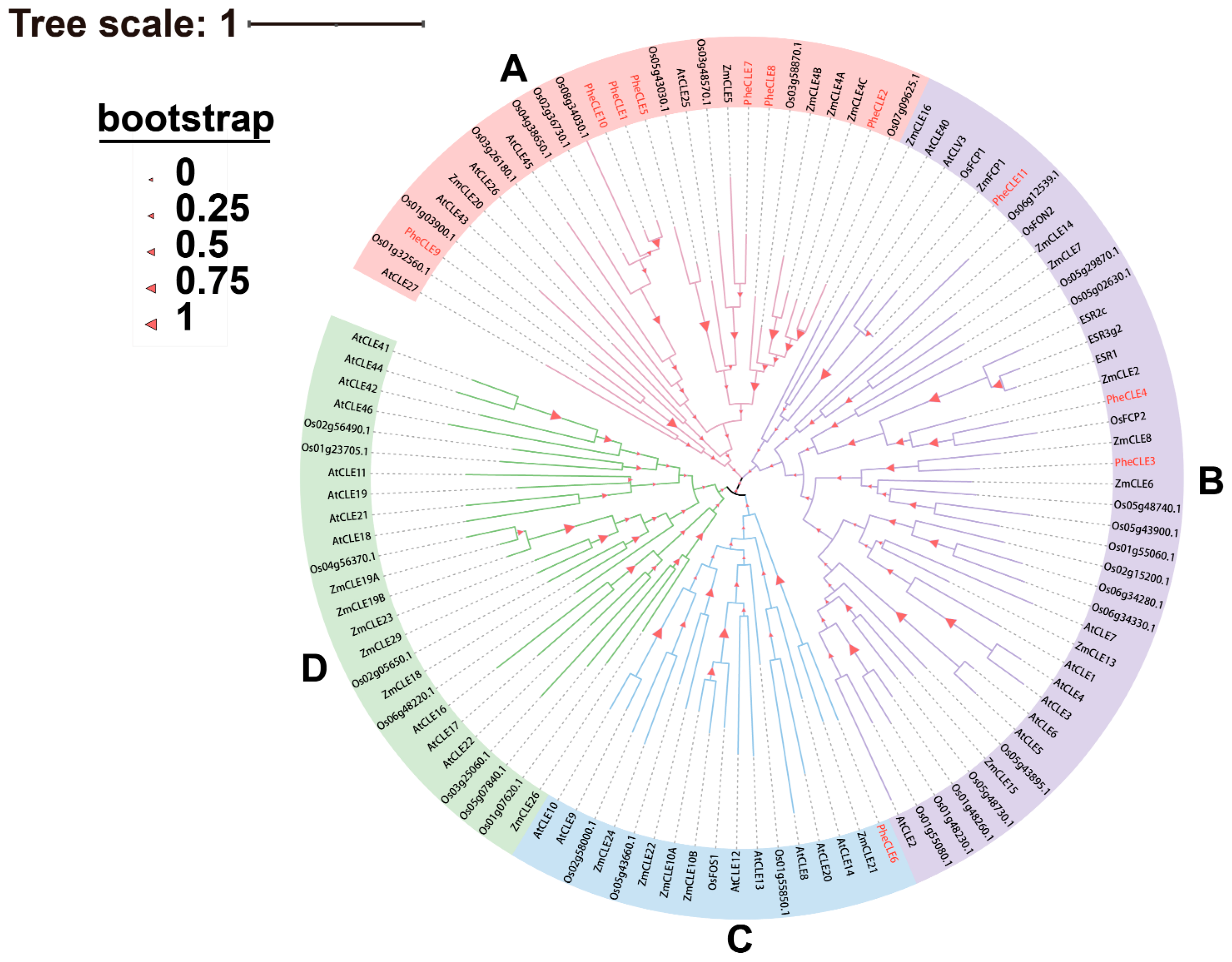 Ijms 25 07190 g003 Ijms 25 07190 g003