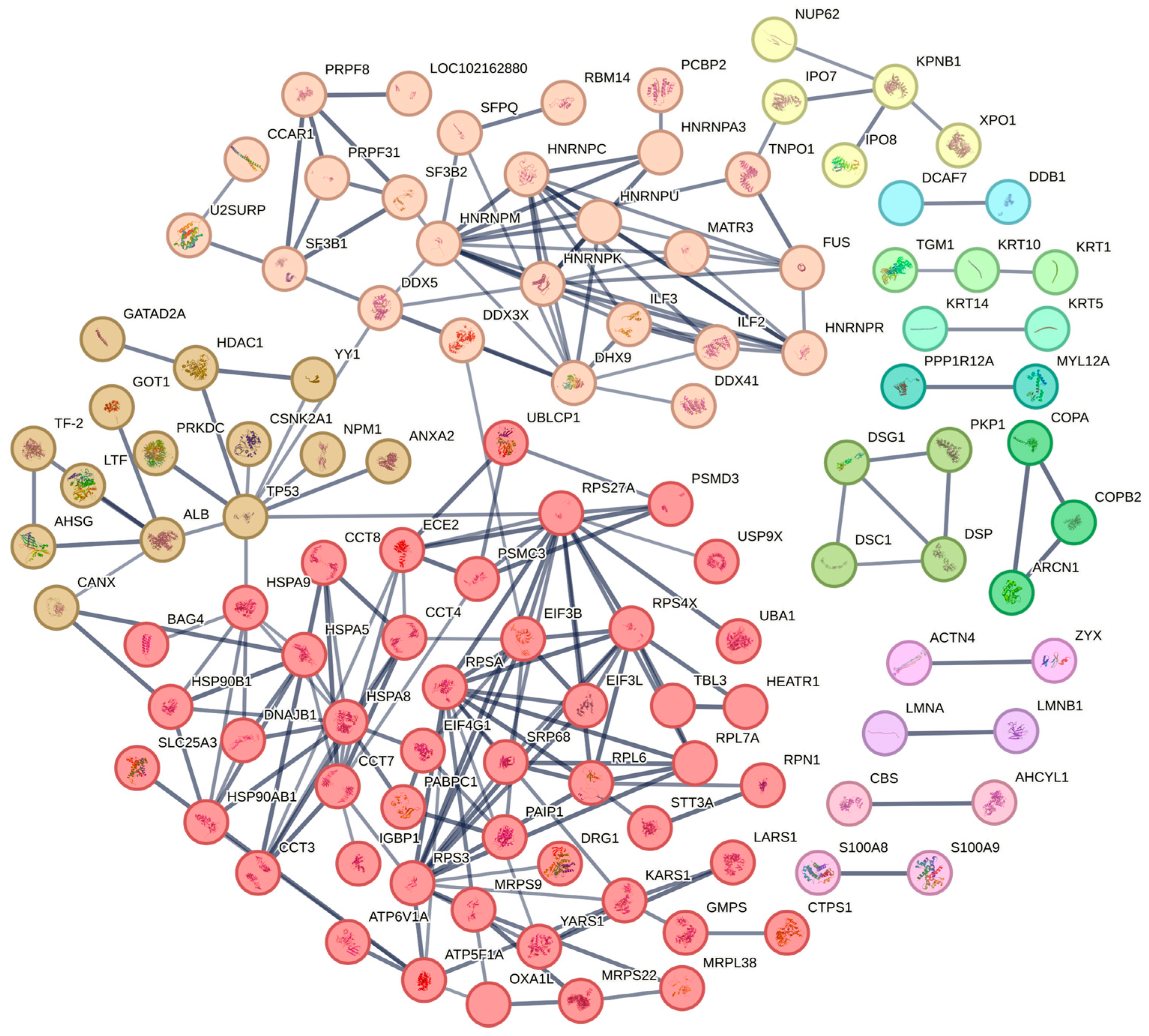 Ijms 25 07219 g004 Ijms 25 07219 g004