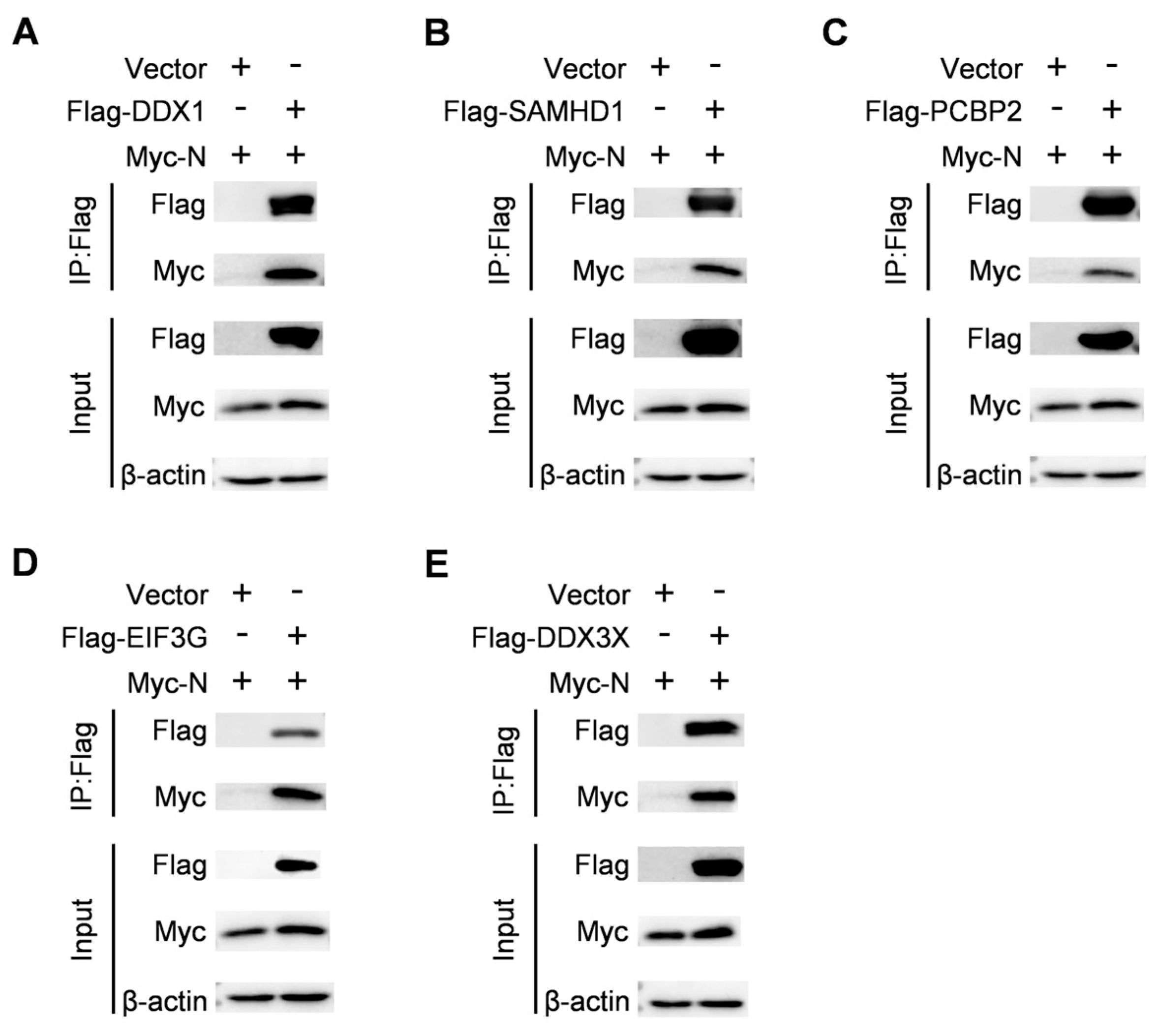 Ijms 25 07219 g005 Ijms 25 07219 g005