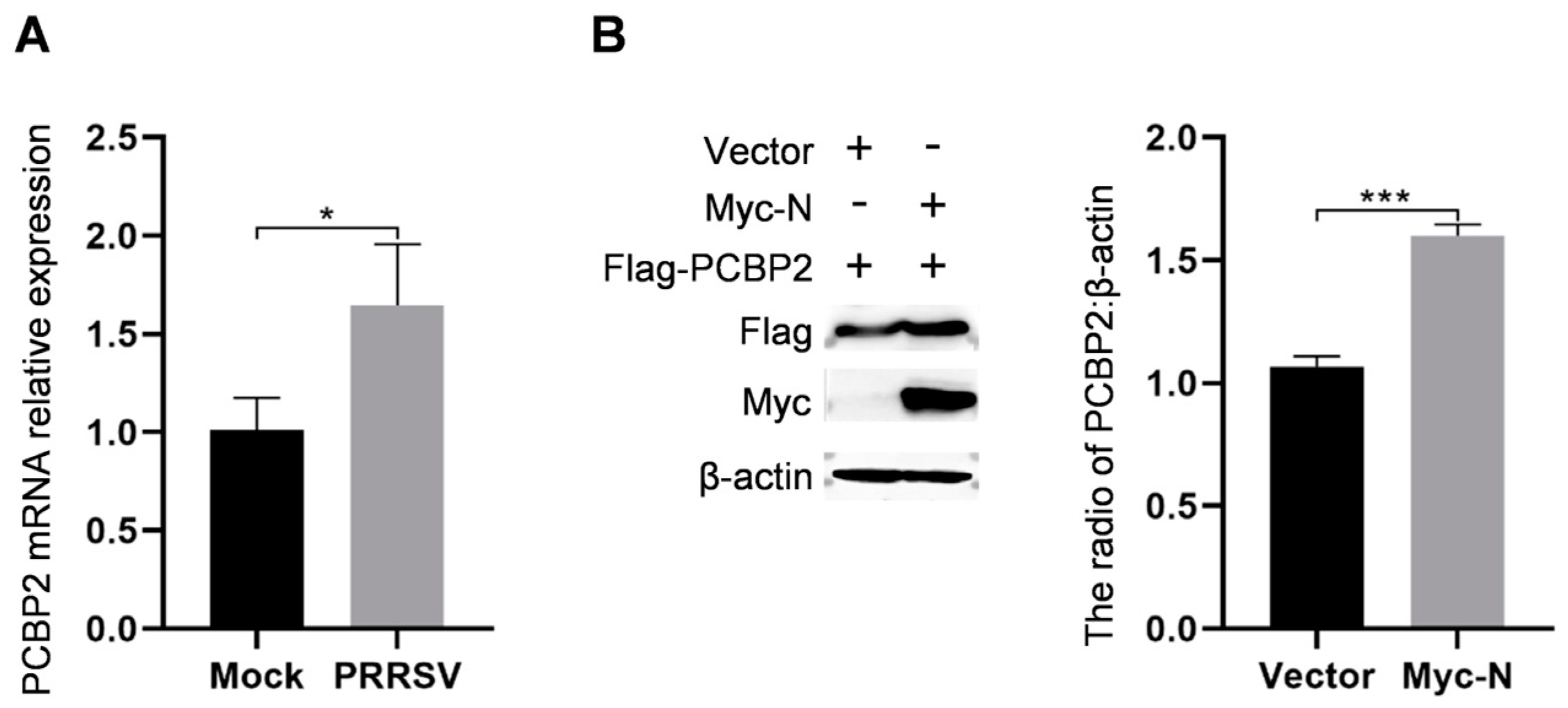 Ijms 25 07219 g006 Ijms 25 07219 g006