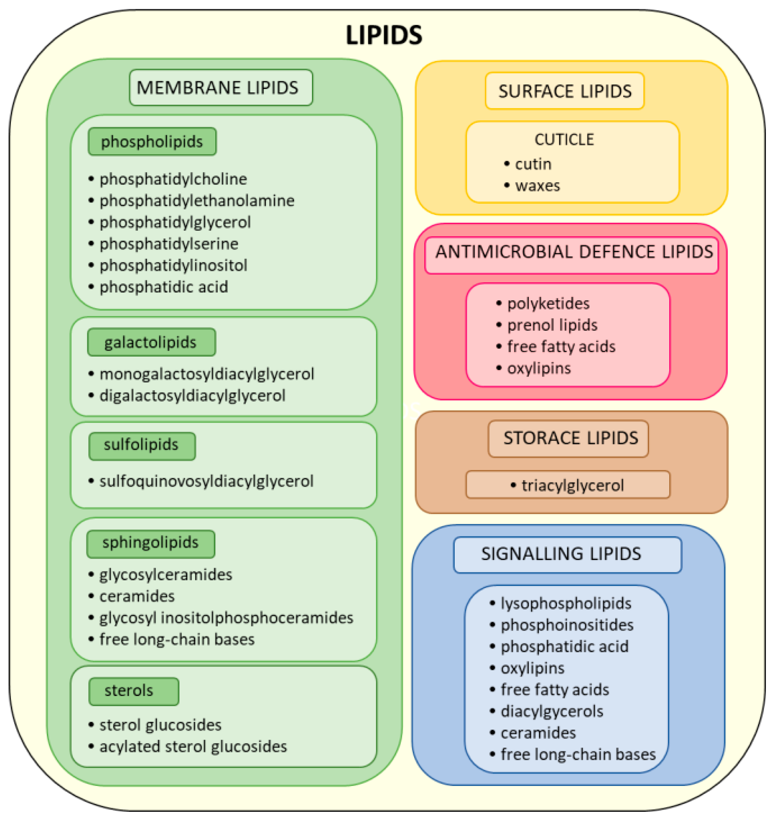 Ijms 25 07255 g001 Ijms 25 07255 g001