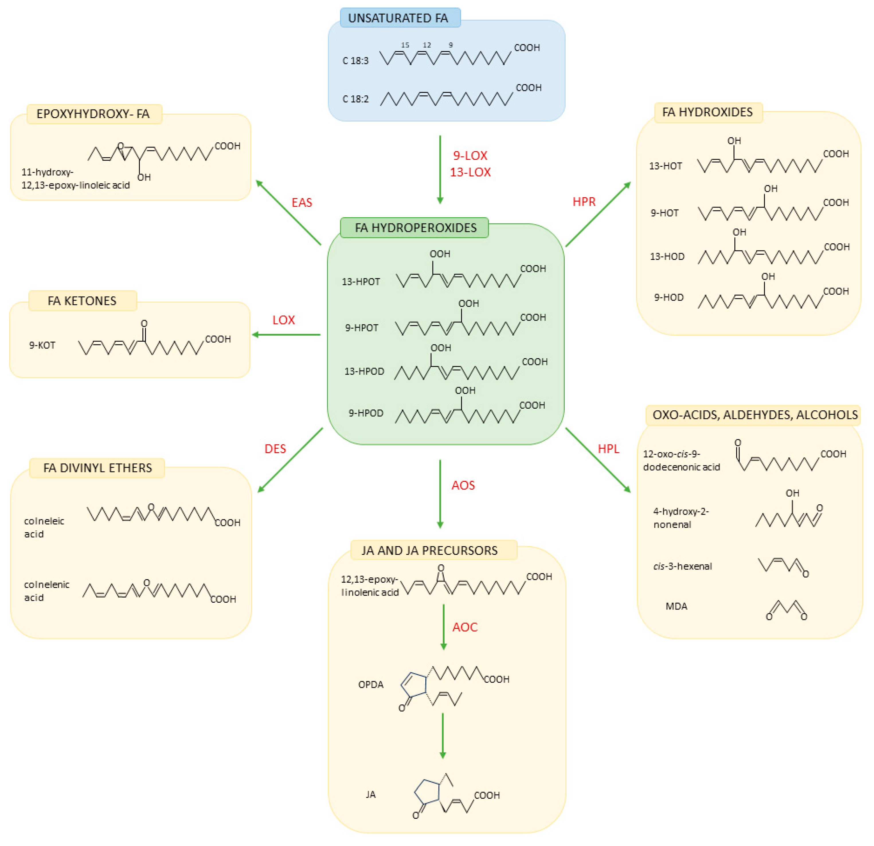 Ijms 25 07255 g002 Ijms 25 07255 g002
