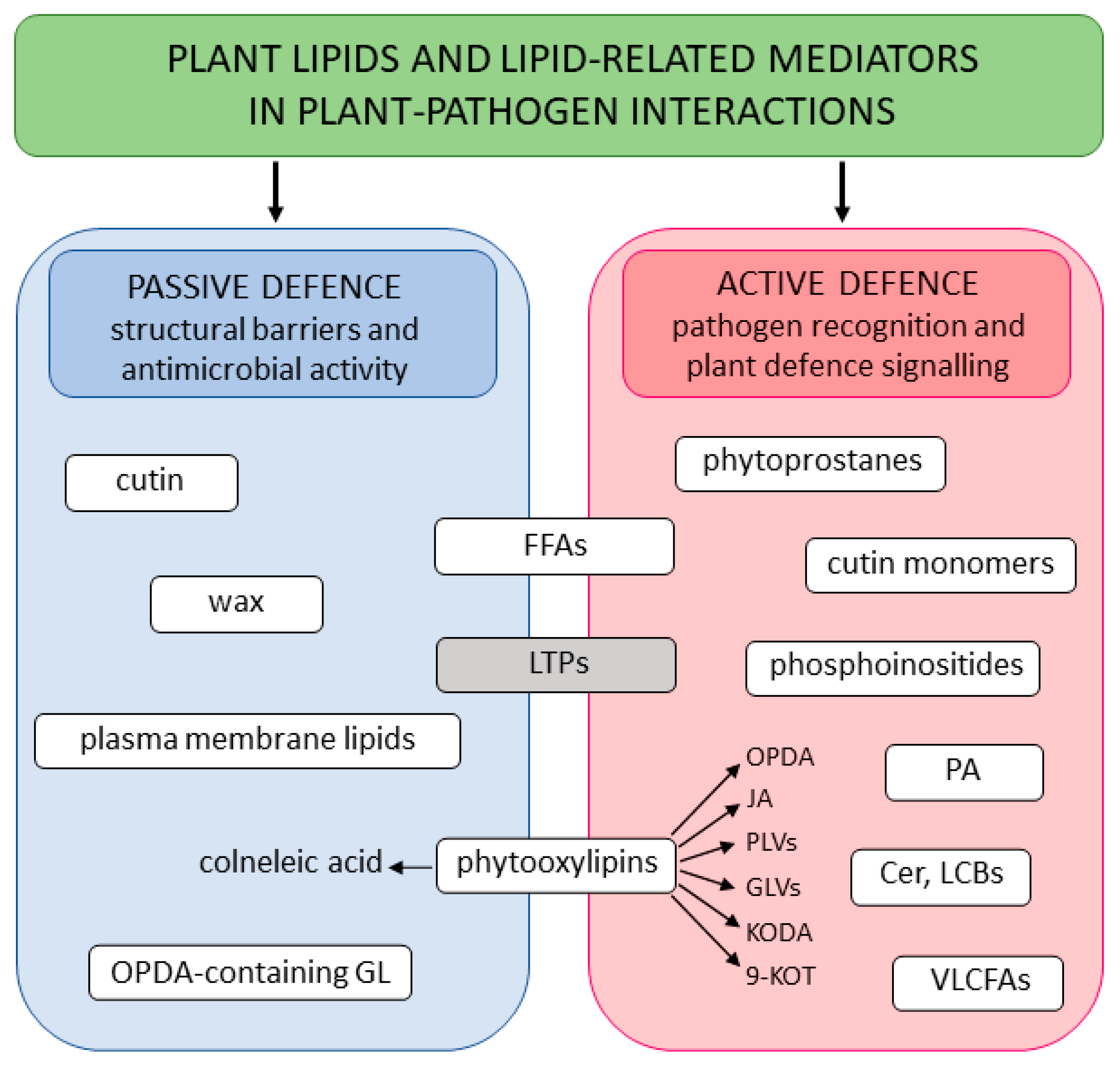 Ijms 25 07255 g003 Ijms 25 07255 g003