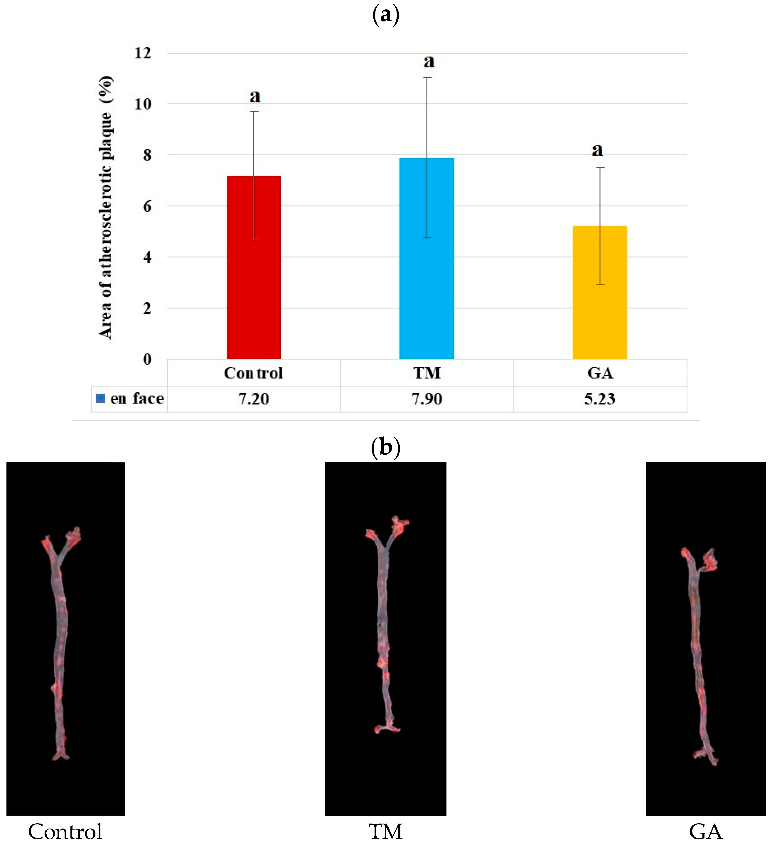 Ijms 25 07256 g002 Ijms 25 07256 g002