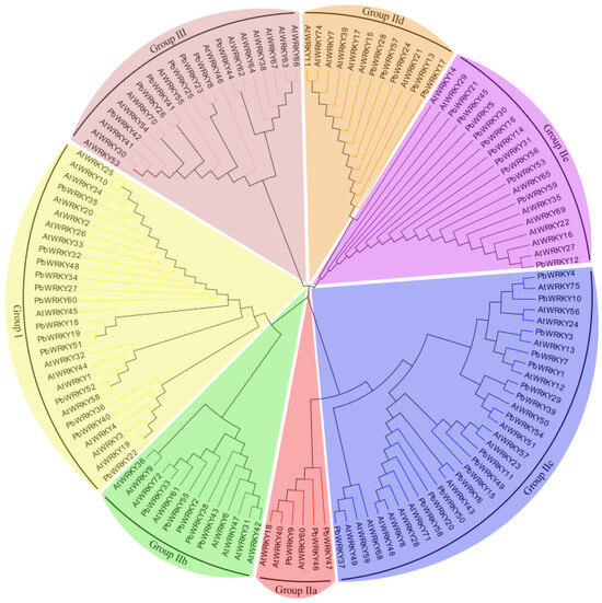 IJMS | Free Full-Text | Comprehensive Expression Analysis of the WRKY ...