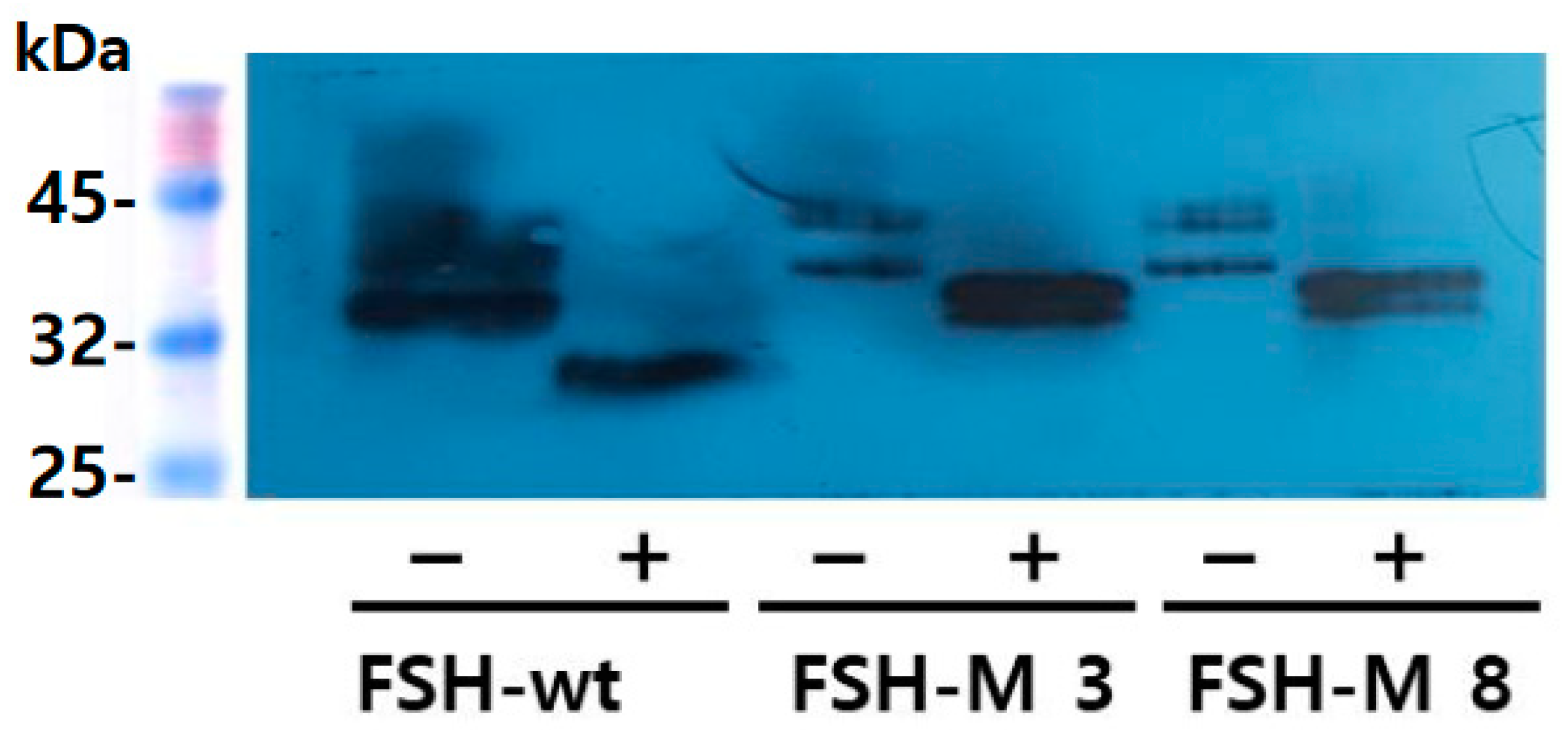 Ijms 25 07282 g005 Ijms 25 07282 g005