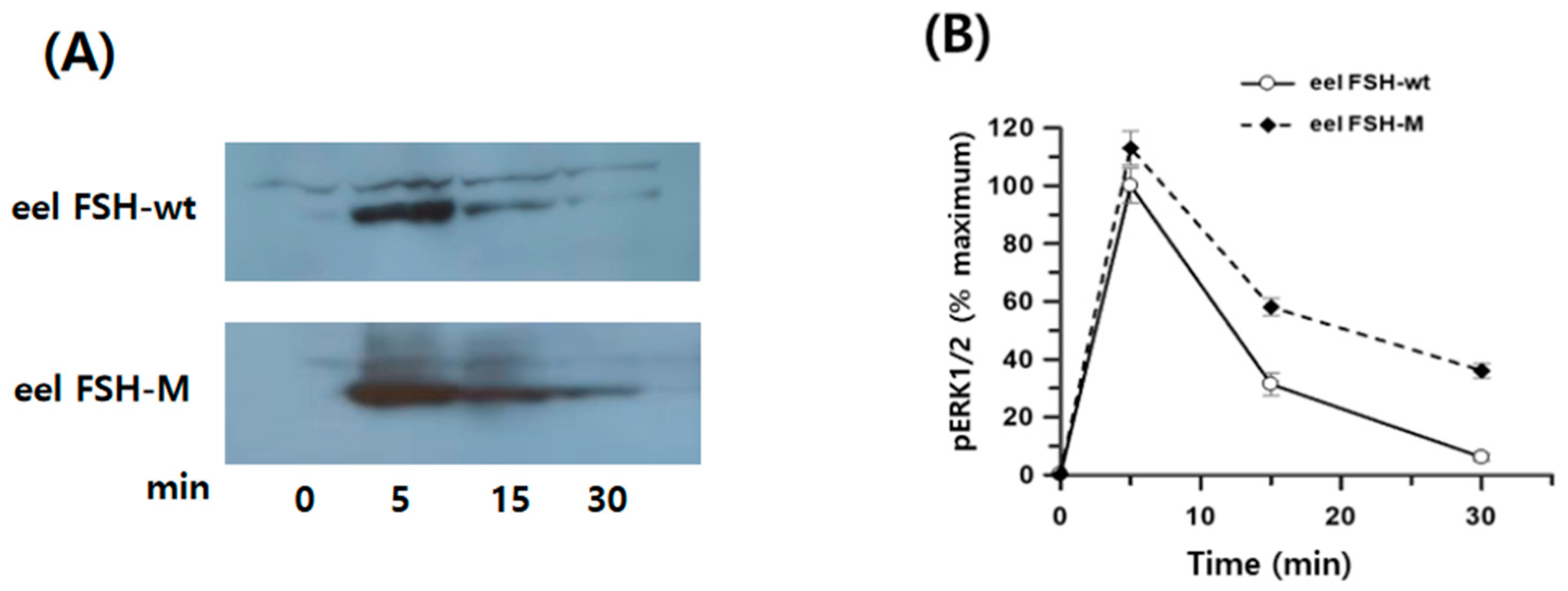 Ijms 25 07282 g009 Ijms 25 07282 g009