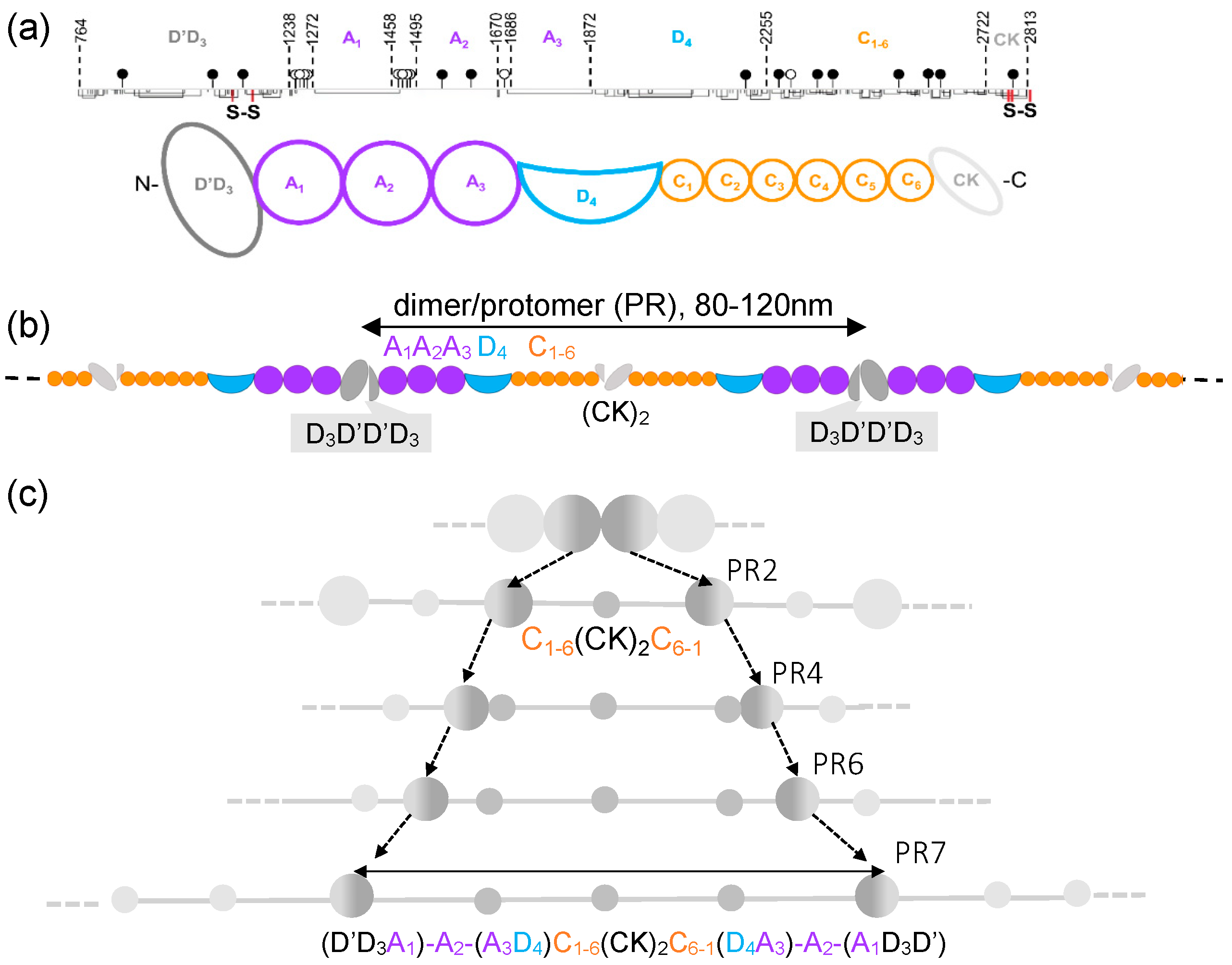 Ijms 25 07296 g001 Ijms 25 07296 g001