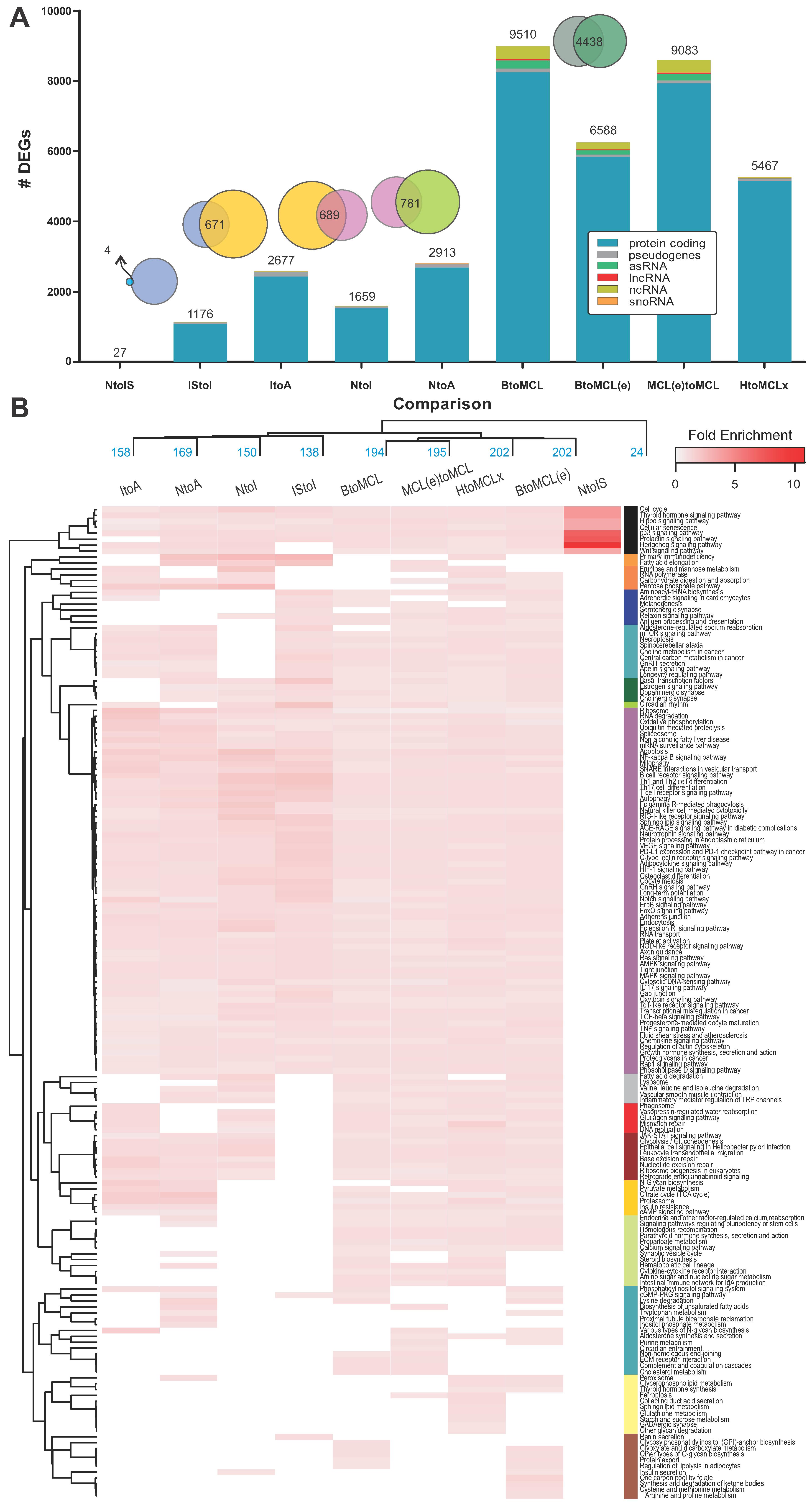 Ijms 25 07298 g002 Ijms 25 07298 g002